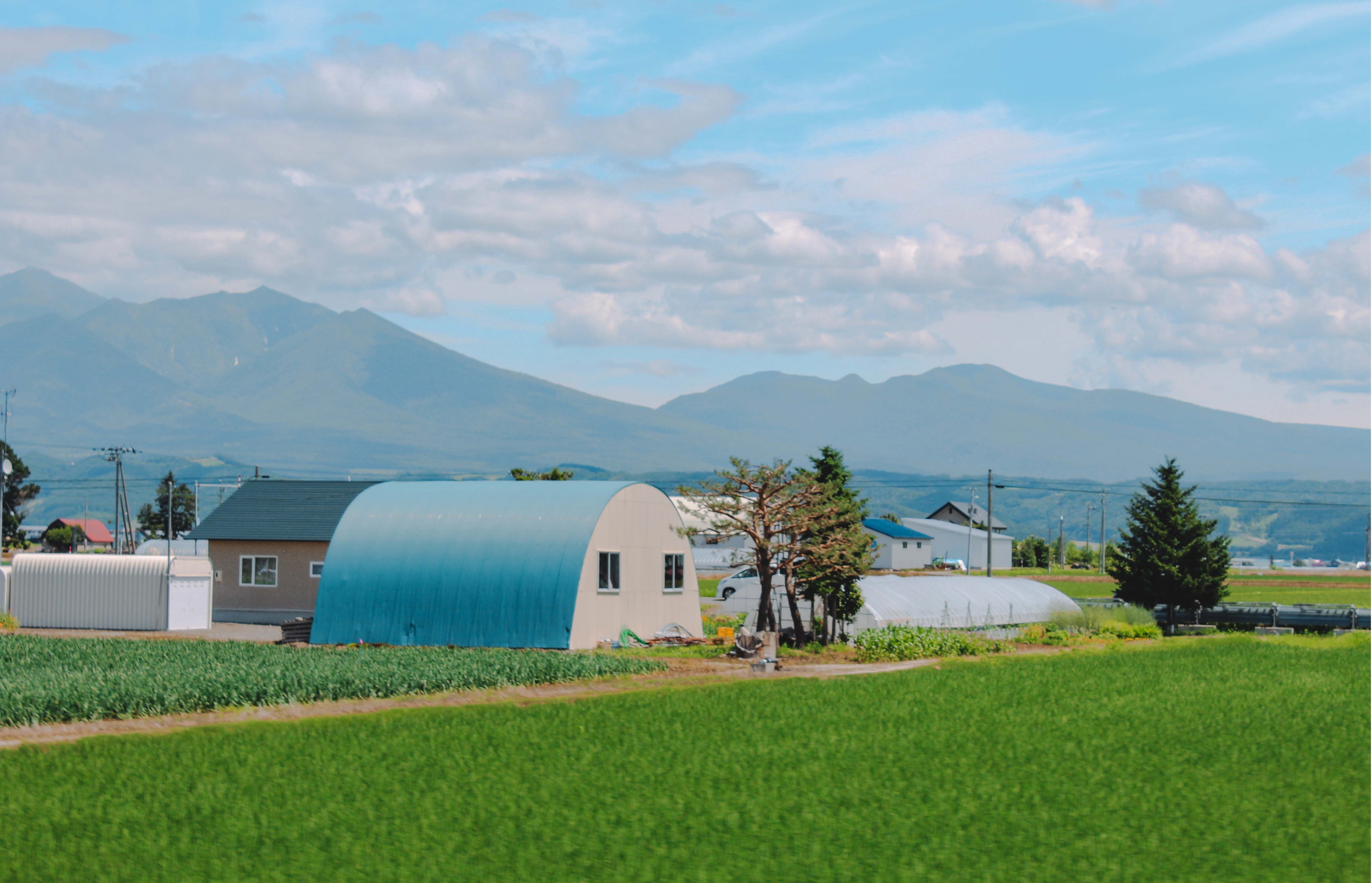 oai huong o Furano anh 11