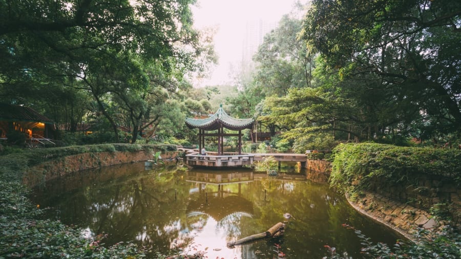 canh dep nhat o Hong Kong anh 21