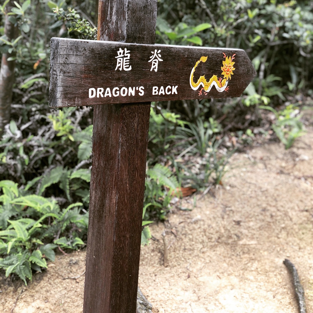 canh dep nhat o Hong Kong anh 14