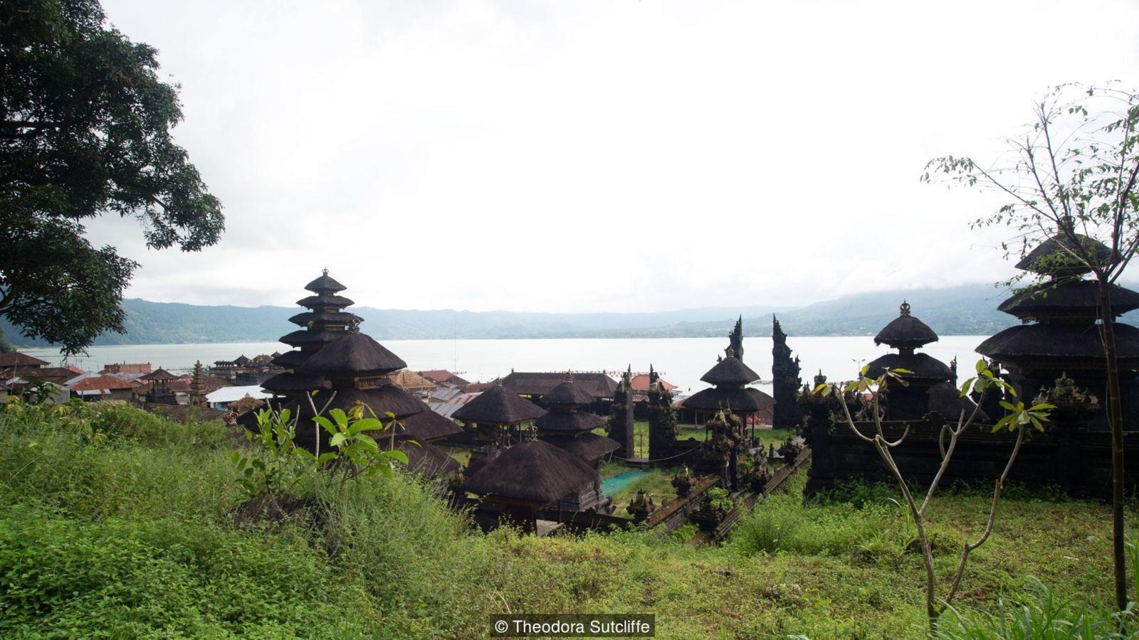 tuc phoi thay nguoi chet anh 13