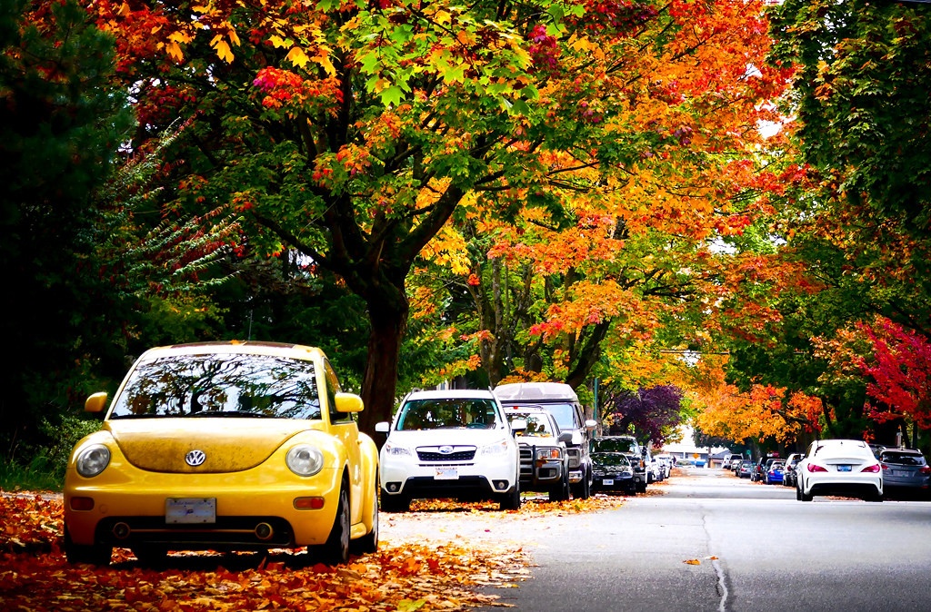 Canada khi sang thu anh 10