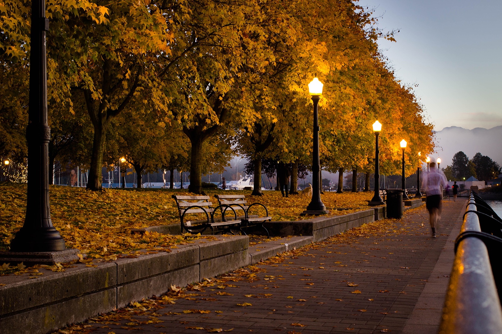 Canada khi sang thu anh 12