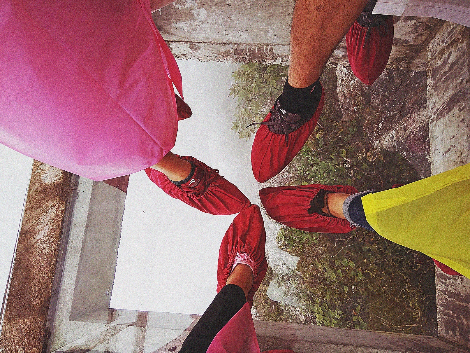 Phuong Hoang Co Tran anh 5