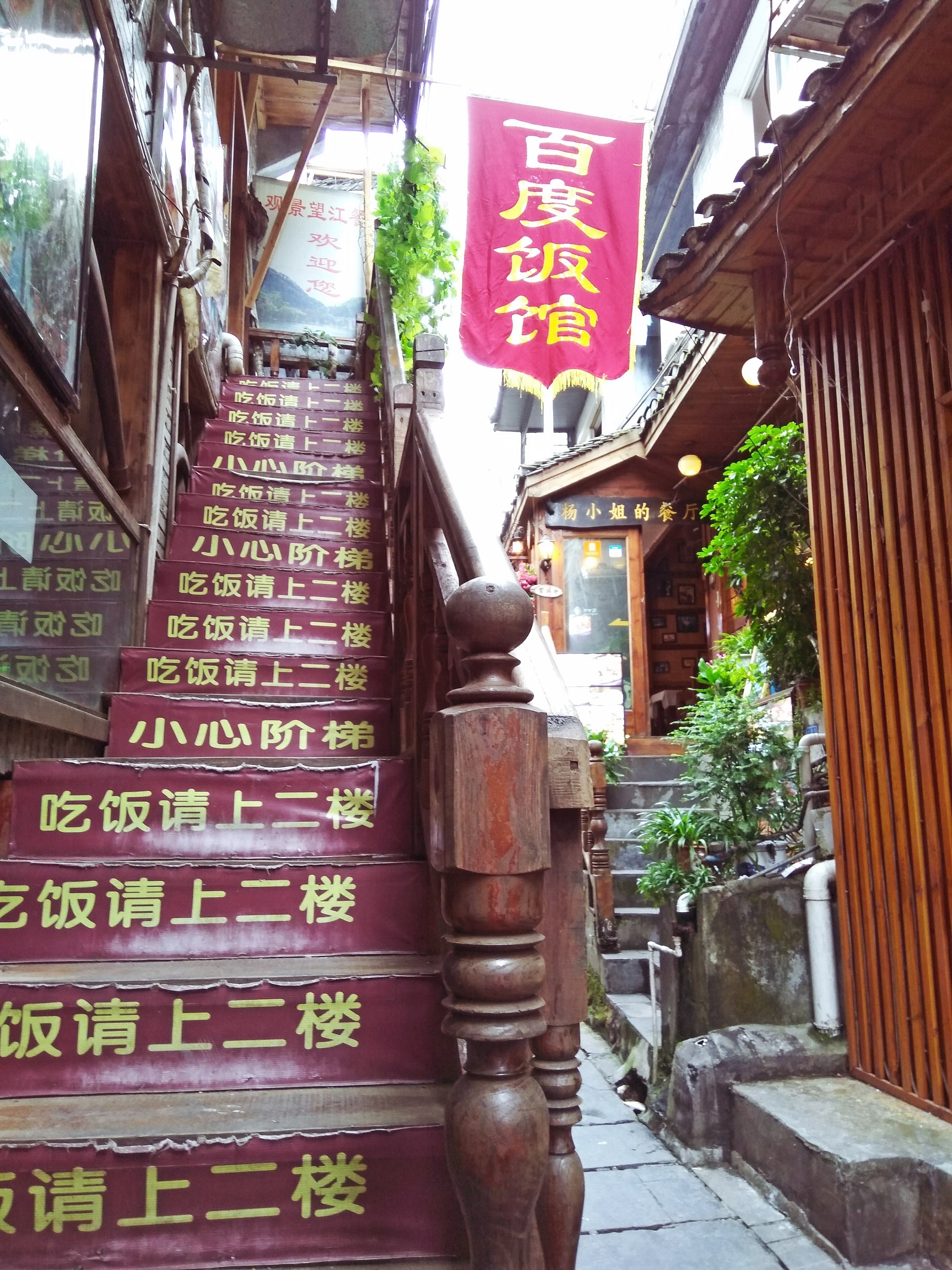 Phuong Hoang Co Tran anh 16