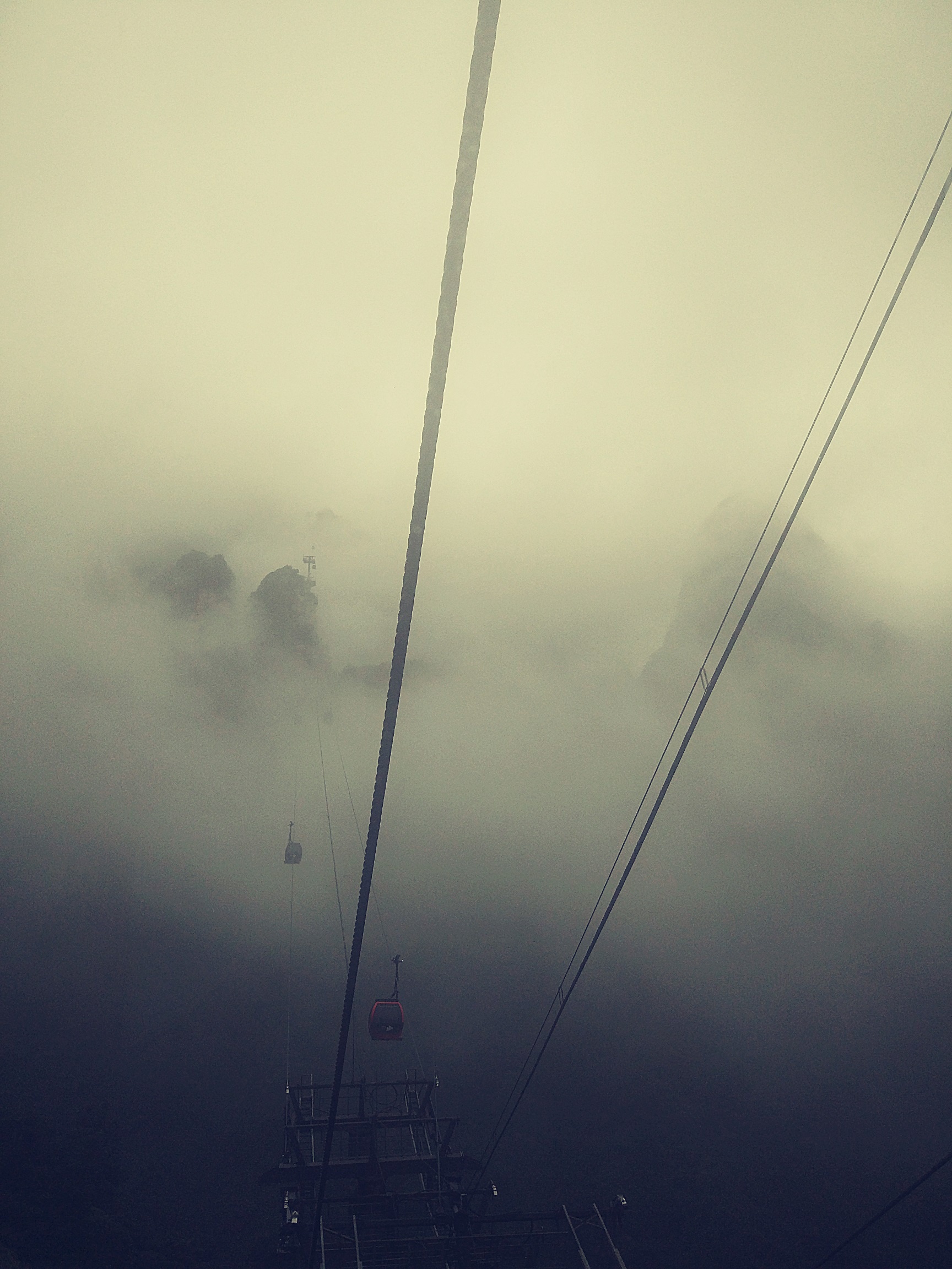 Phuong Hoang Co Tran anh 10