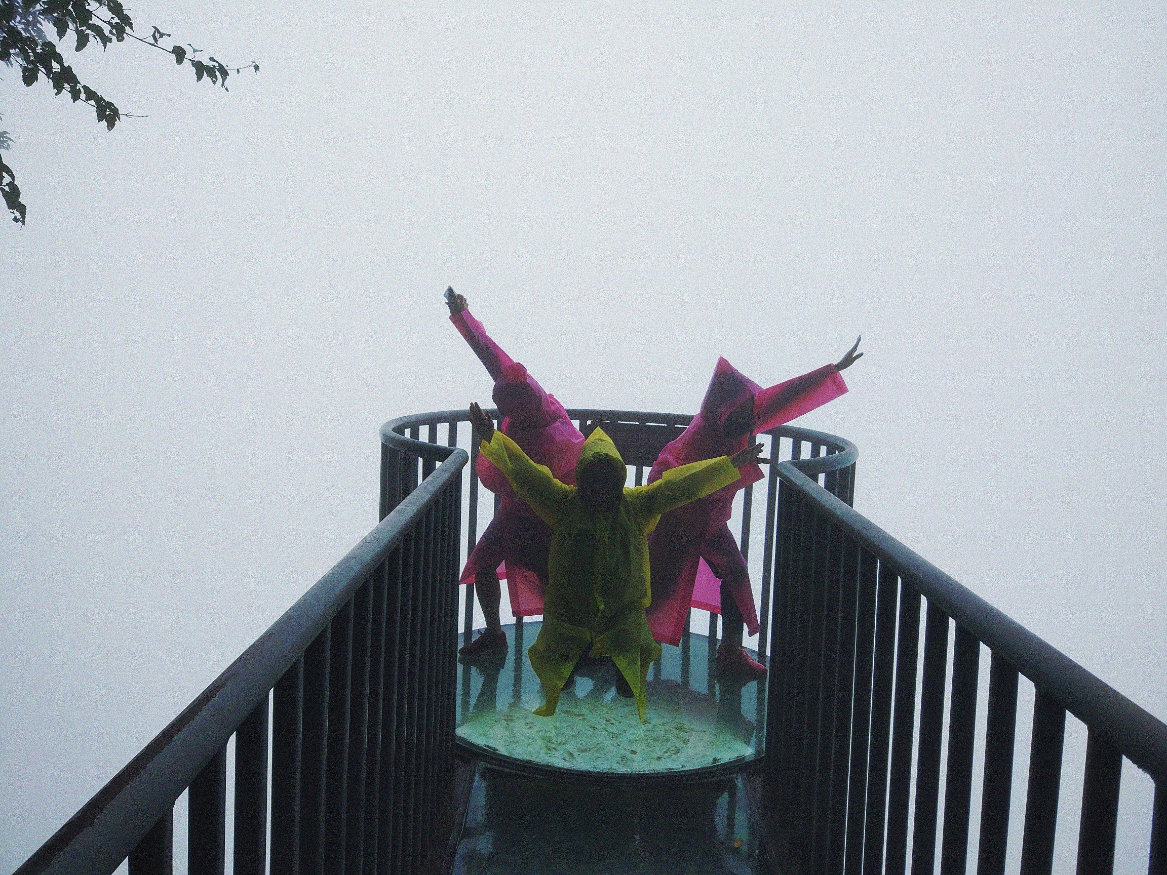 Phuong Hoang Co Tran anh 4