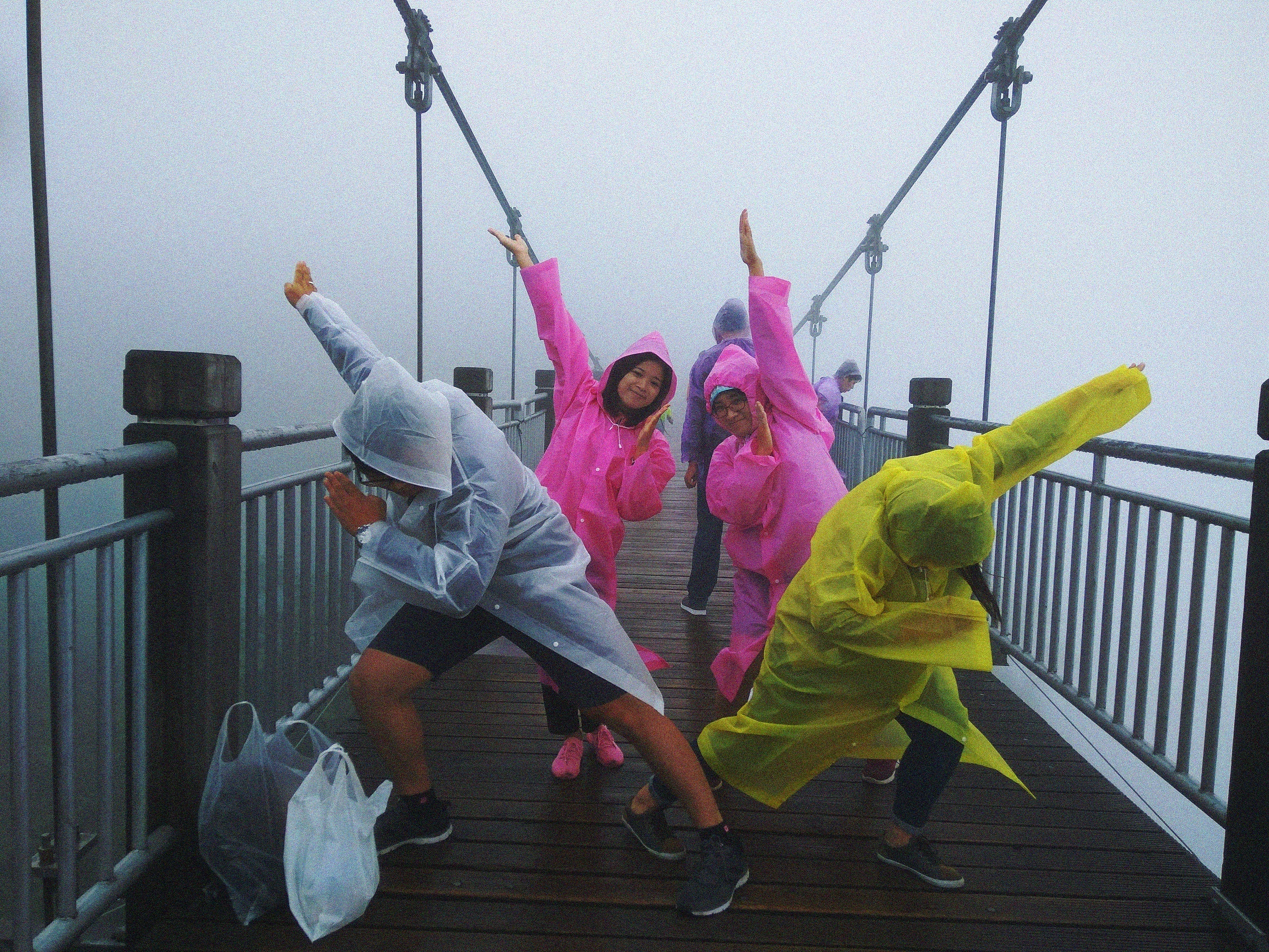 Phuong Hoang Co Tran anh 3