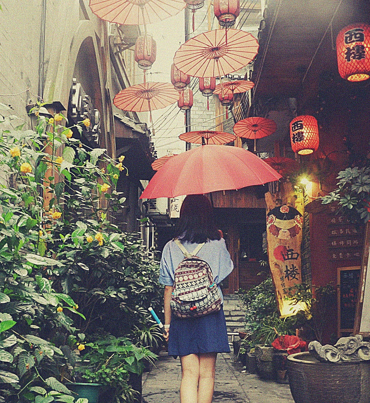 Phuong Hoang Co Tran anh 12