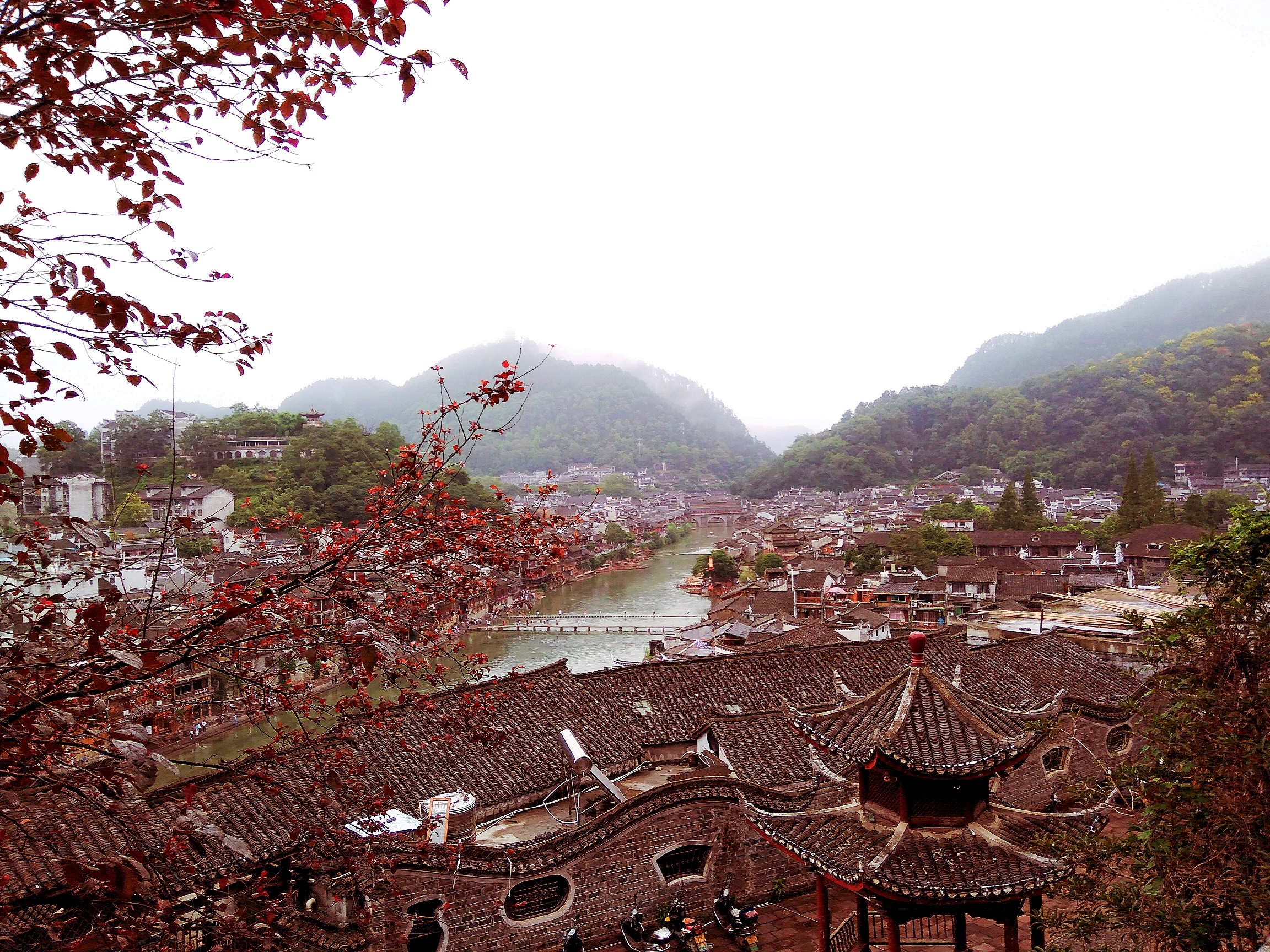 Phuong Hoang Co Tran anh 20