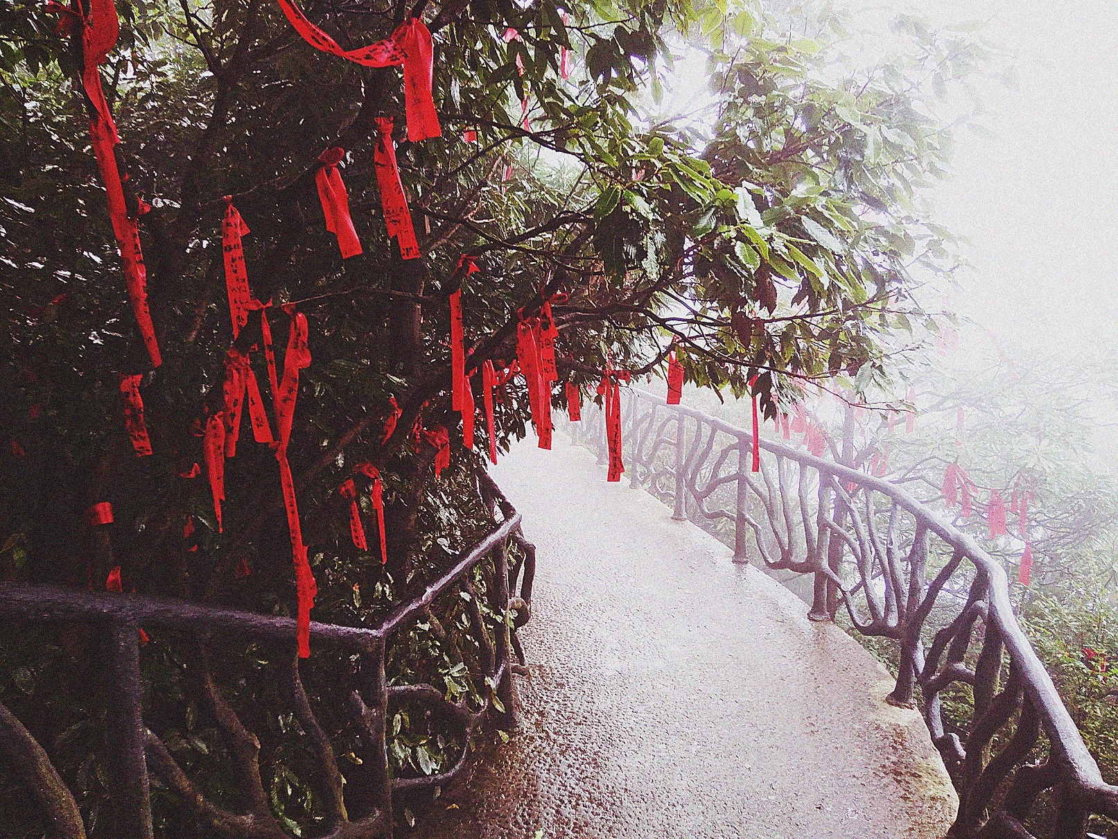 Phuong Hoang Co Tran anh 6