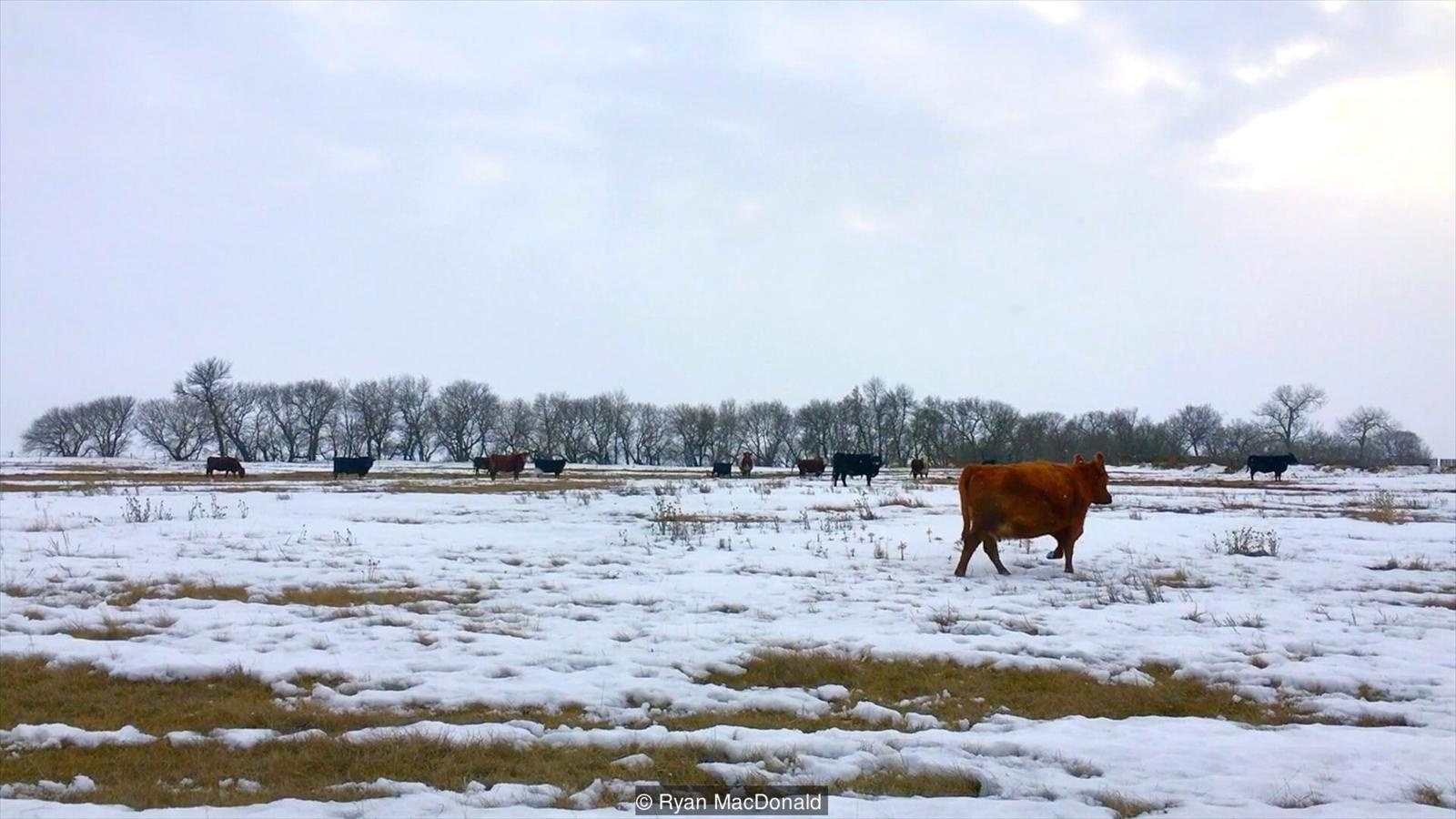 noi tan cung the gioi anh 6