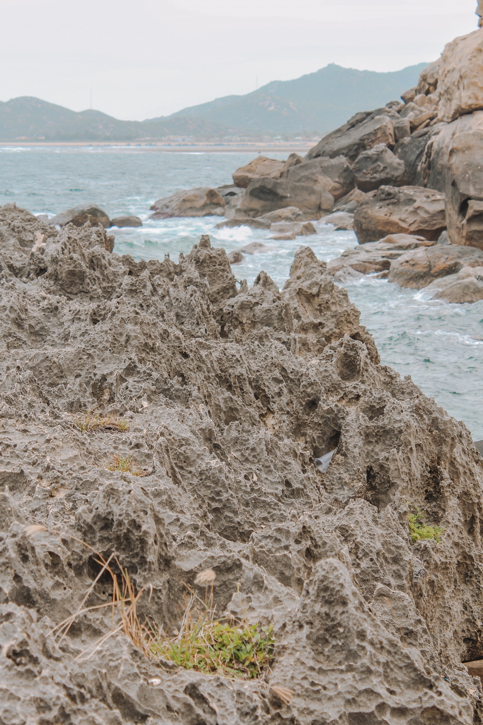 ve Ninh Thuan anh 13