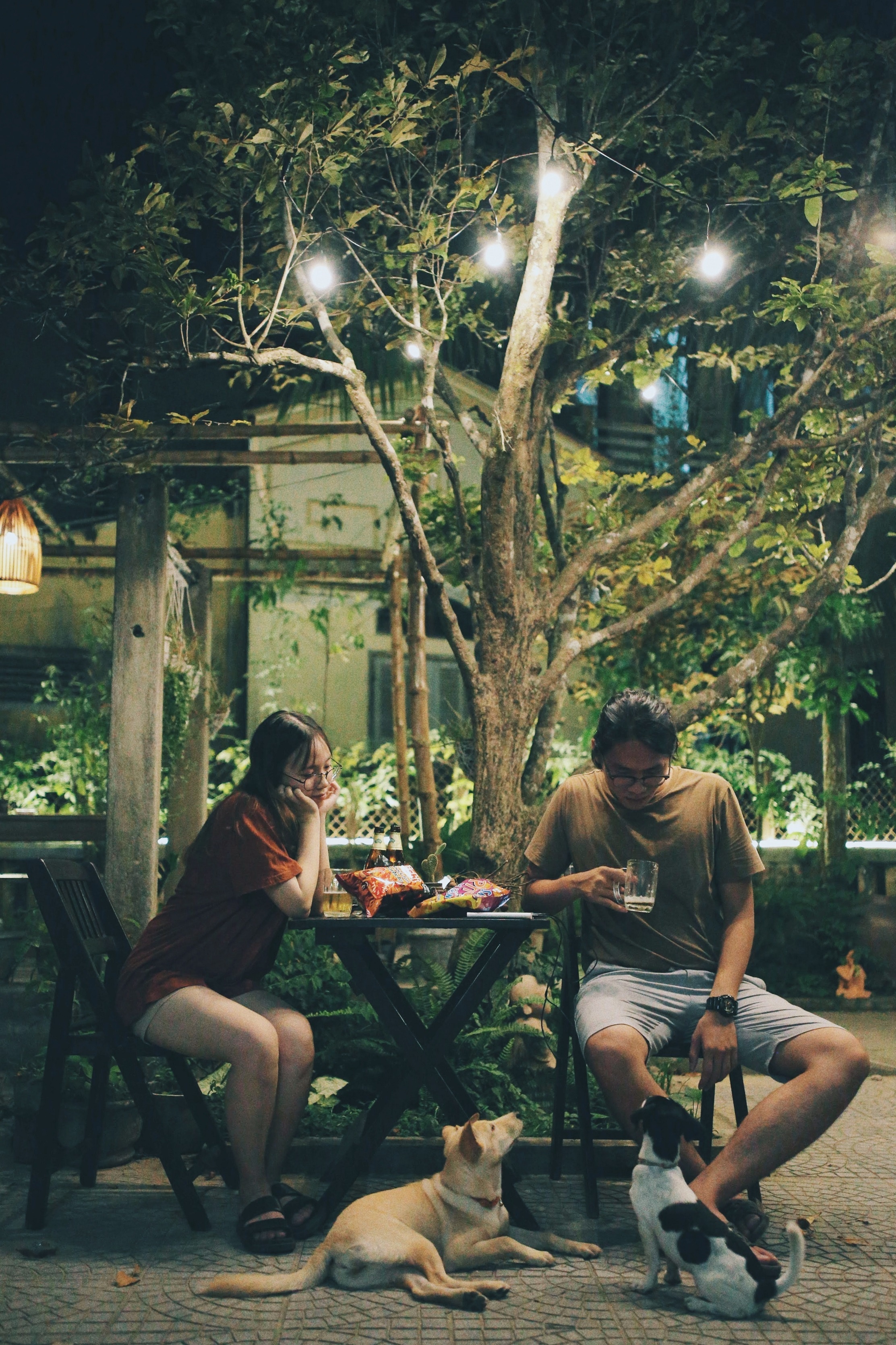 trốn những cơn mưa ảnh 28 tron nhung con mua anh 28