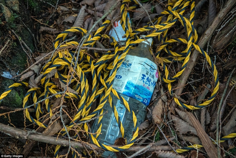 khu rung tu sat o Nhat Ban anh 12