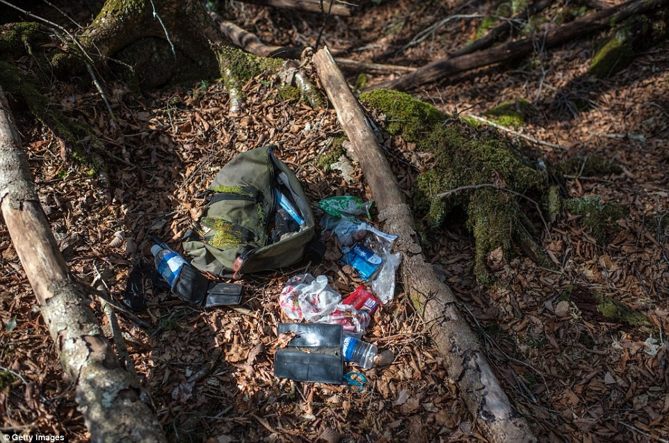 khu rung tu sat o Nhat Ban anh 14