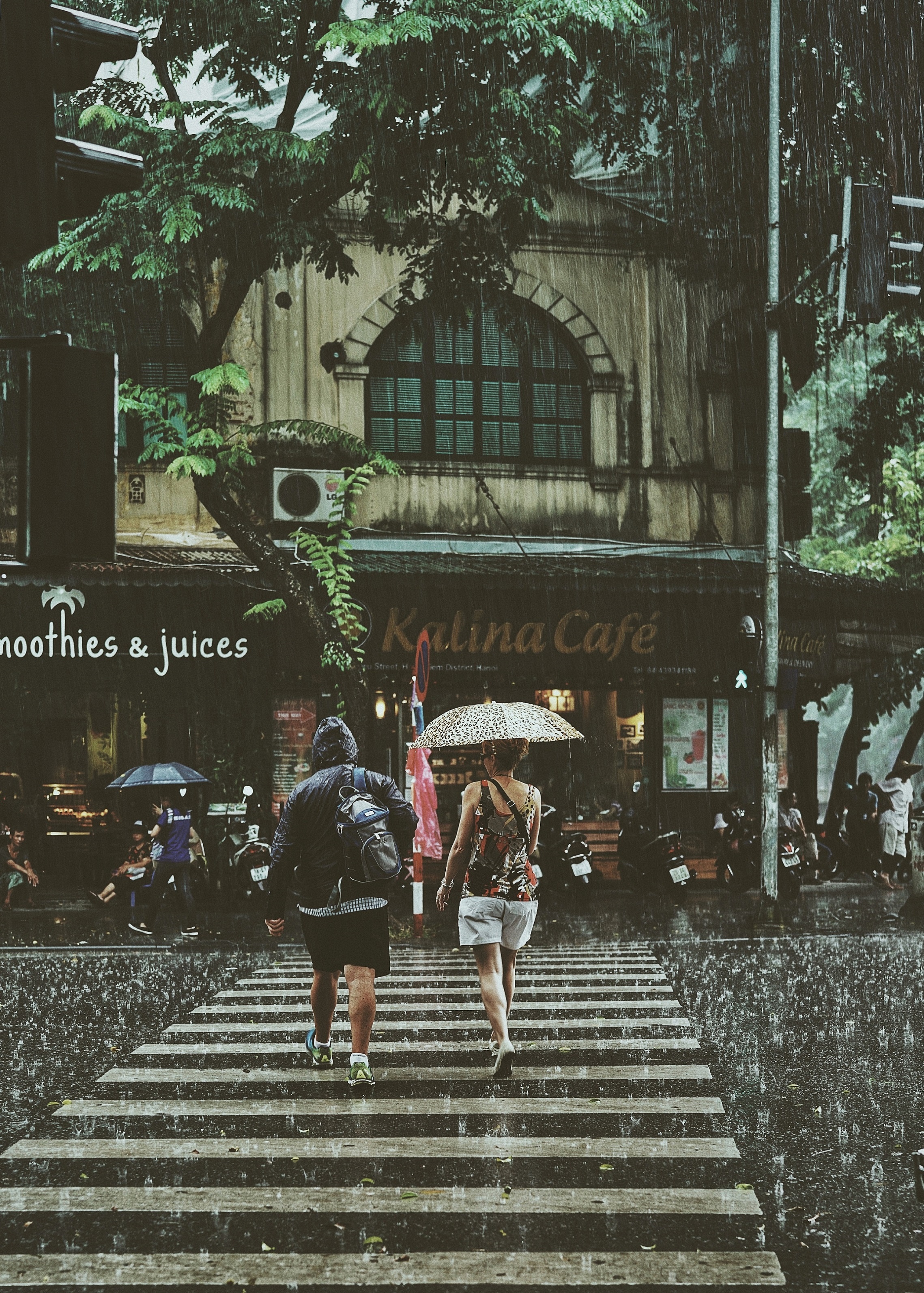 Ha Noi co nhung ngay mua anh 4