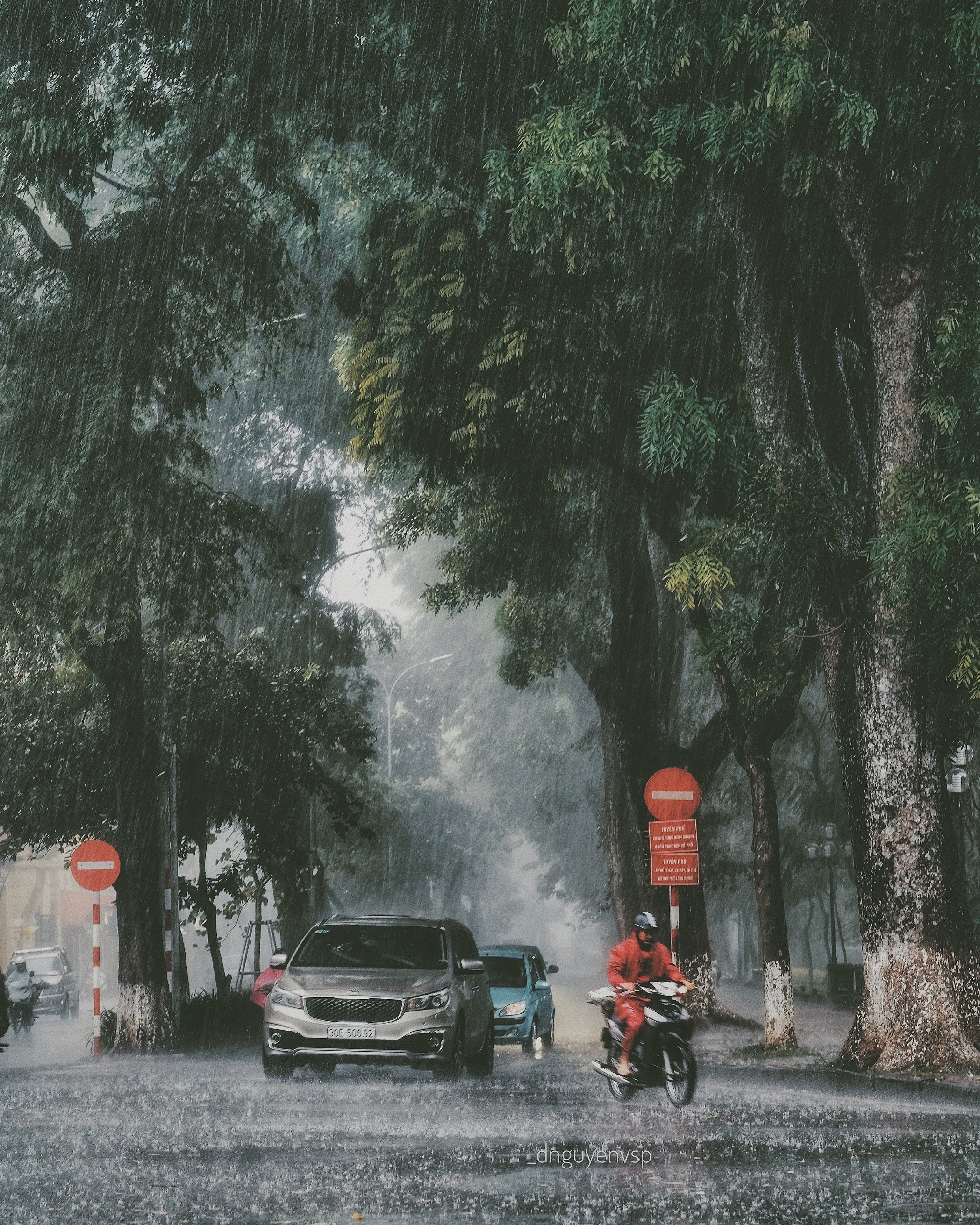 Ha Noi co nhung ngay mua anh 11