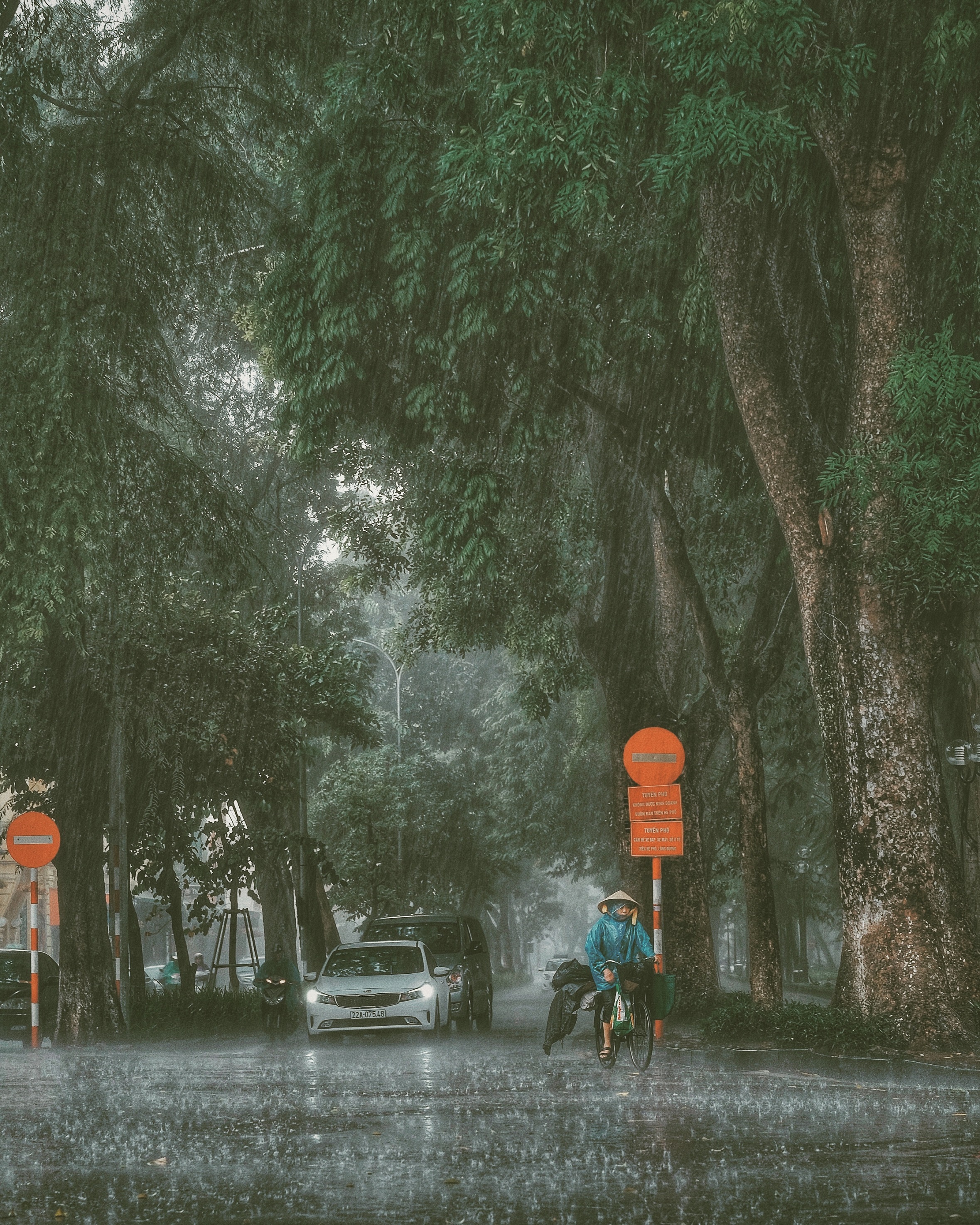 Ha Noi co nhung ngay mua anh 13