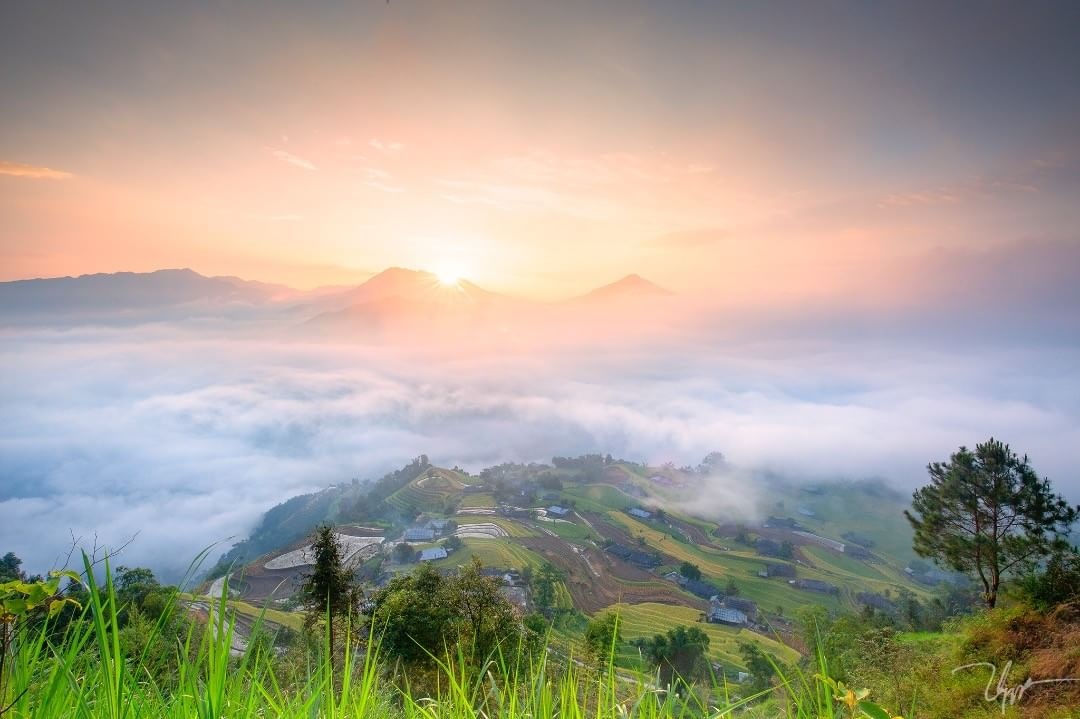 Hoàng Su Phì mùa lúa chín ảnh 7 Hoang Su Phi mua lua chin anh 7
