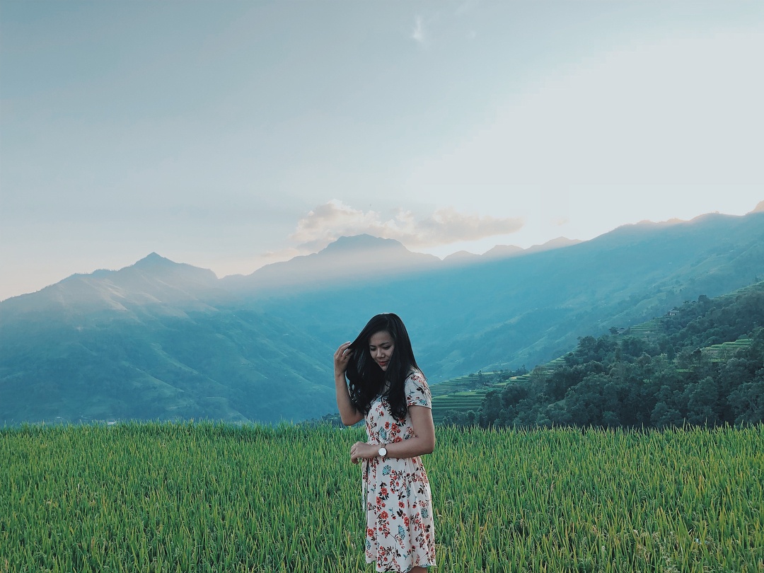 Hoàng Su Phì mùa lúa chín ảnh 18 Hoang Su Phi mua lua chin anh 18
