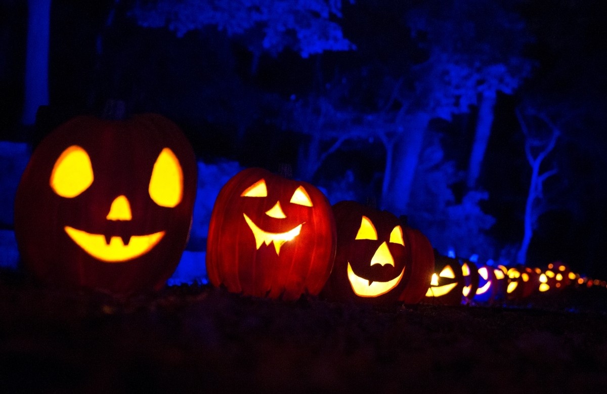 Halloween ảnh 3 Halloween anh 3