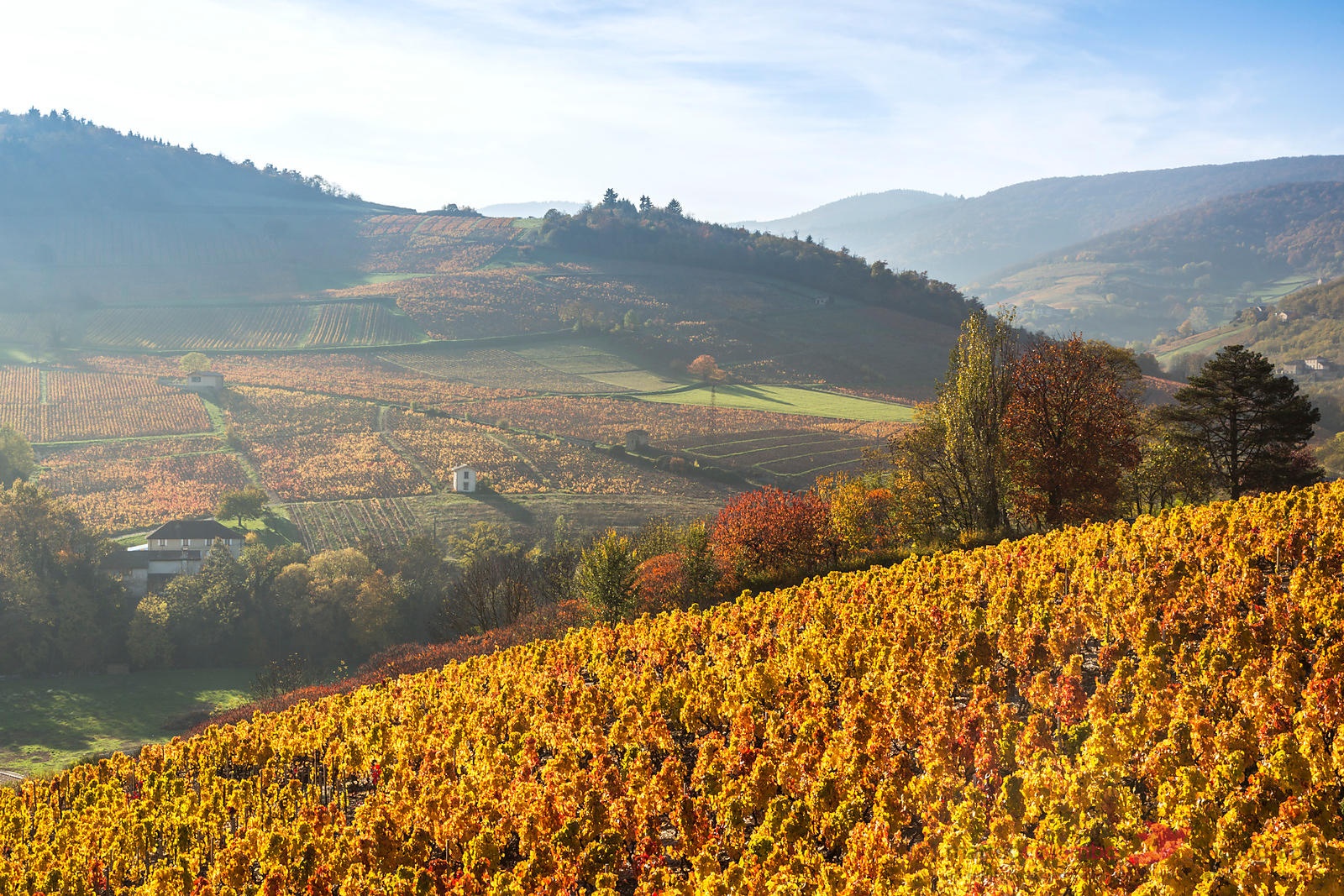 mua thu nuoc Phap anh 6