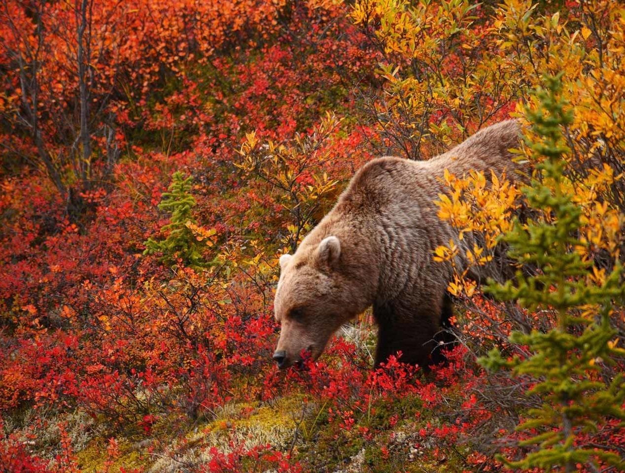 Ngan ngo ngam nuoc My ruc ro khi thu ve hinh anh