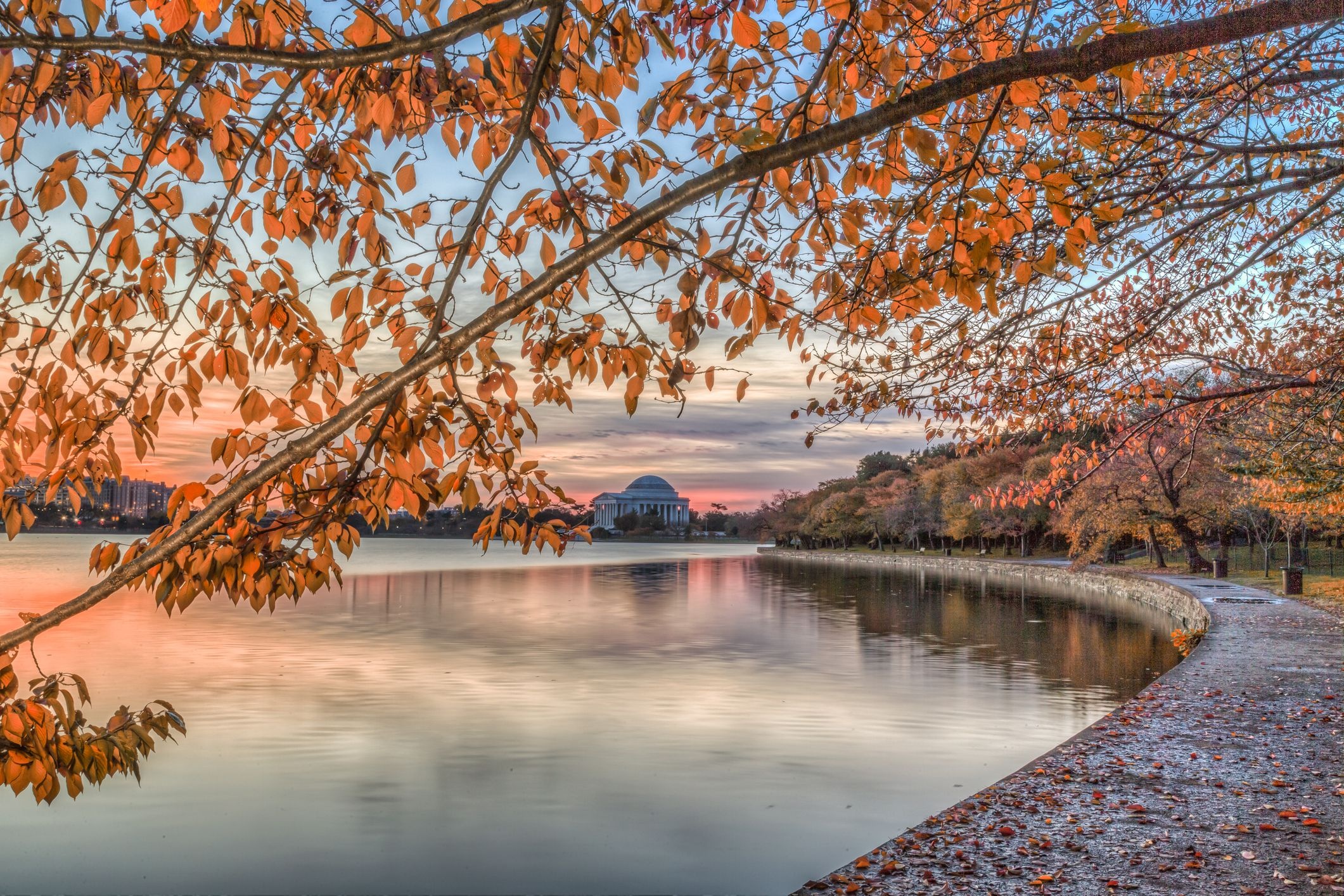 nuoc My ruc ro khi thu ve anh 10