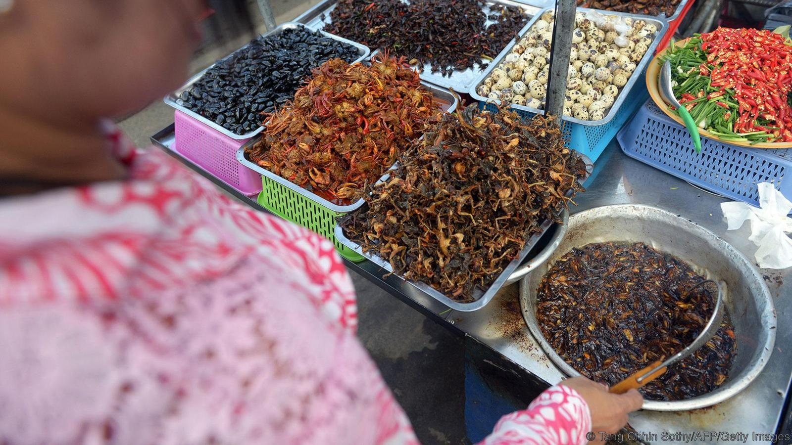 con trung chien gion anh 4