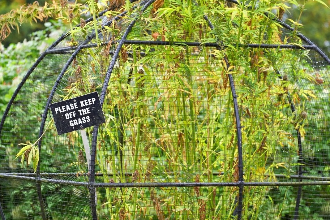 khu vuon nguy hiem nhat the gioi anh 9