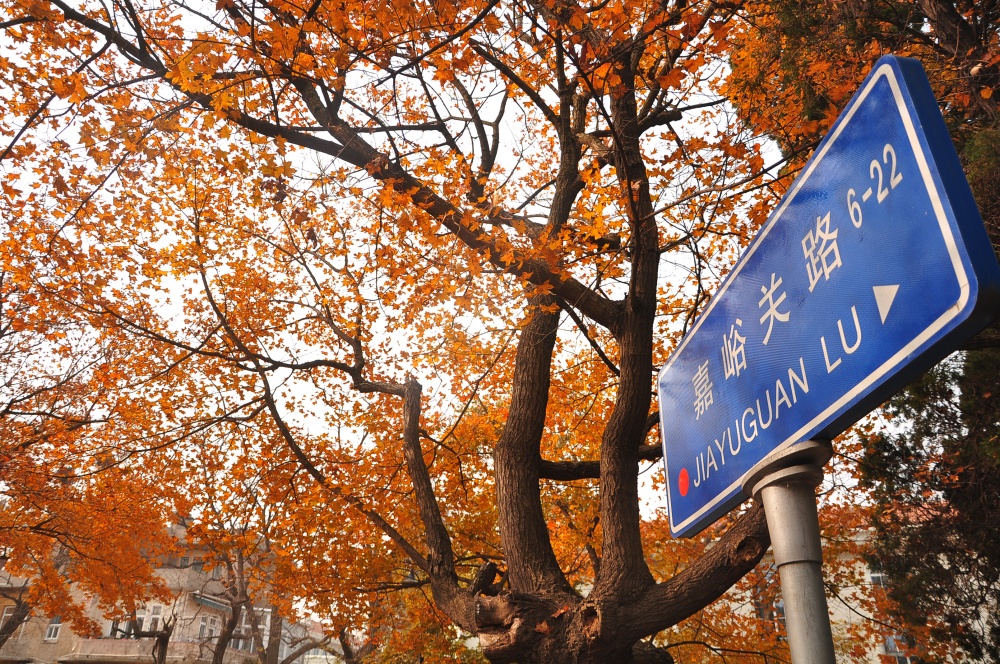 mua thu Trung Quoc anh 3