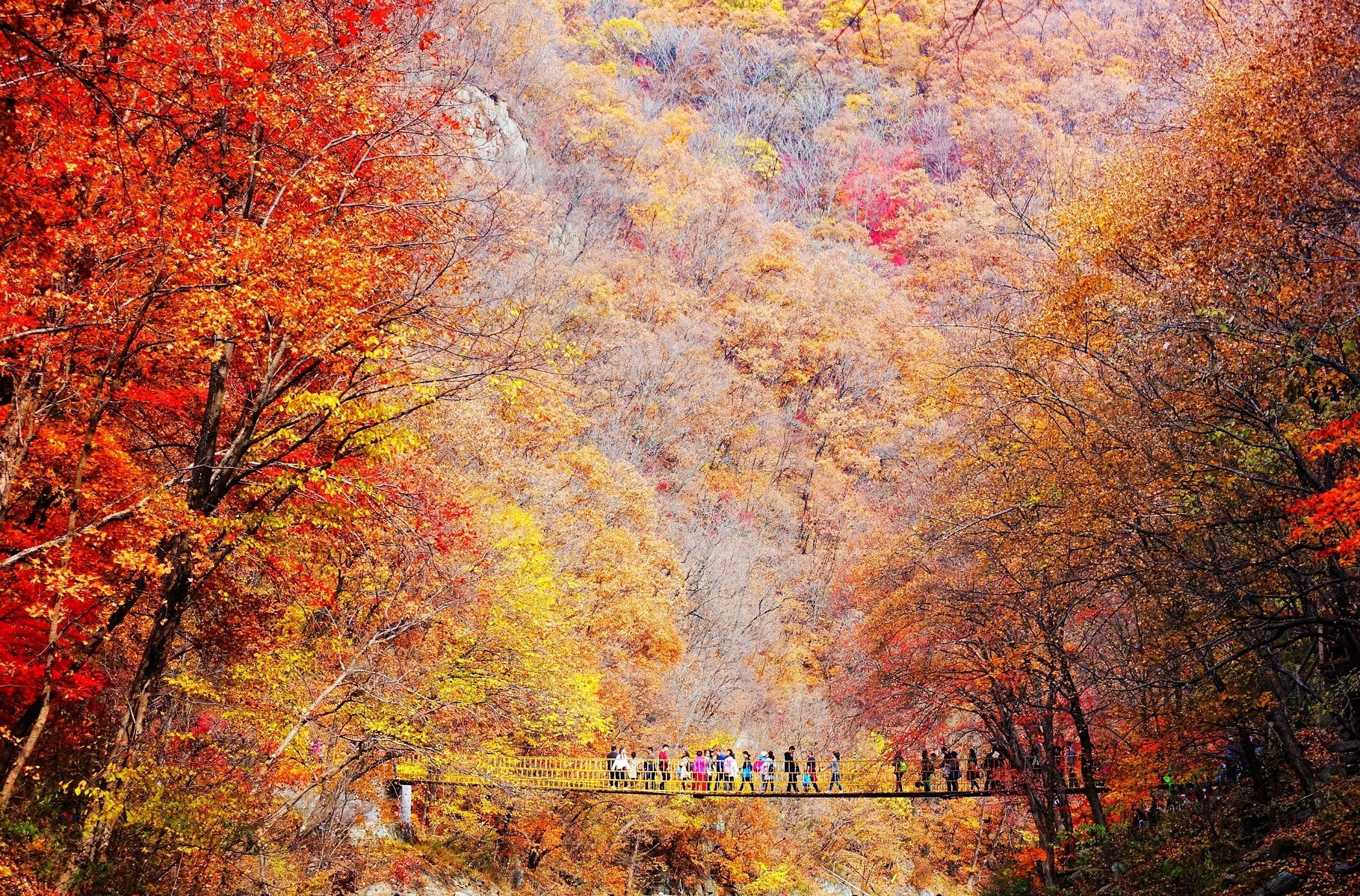 mua thu Trung Quoc anh 5