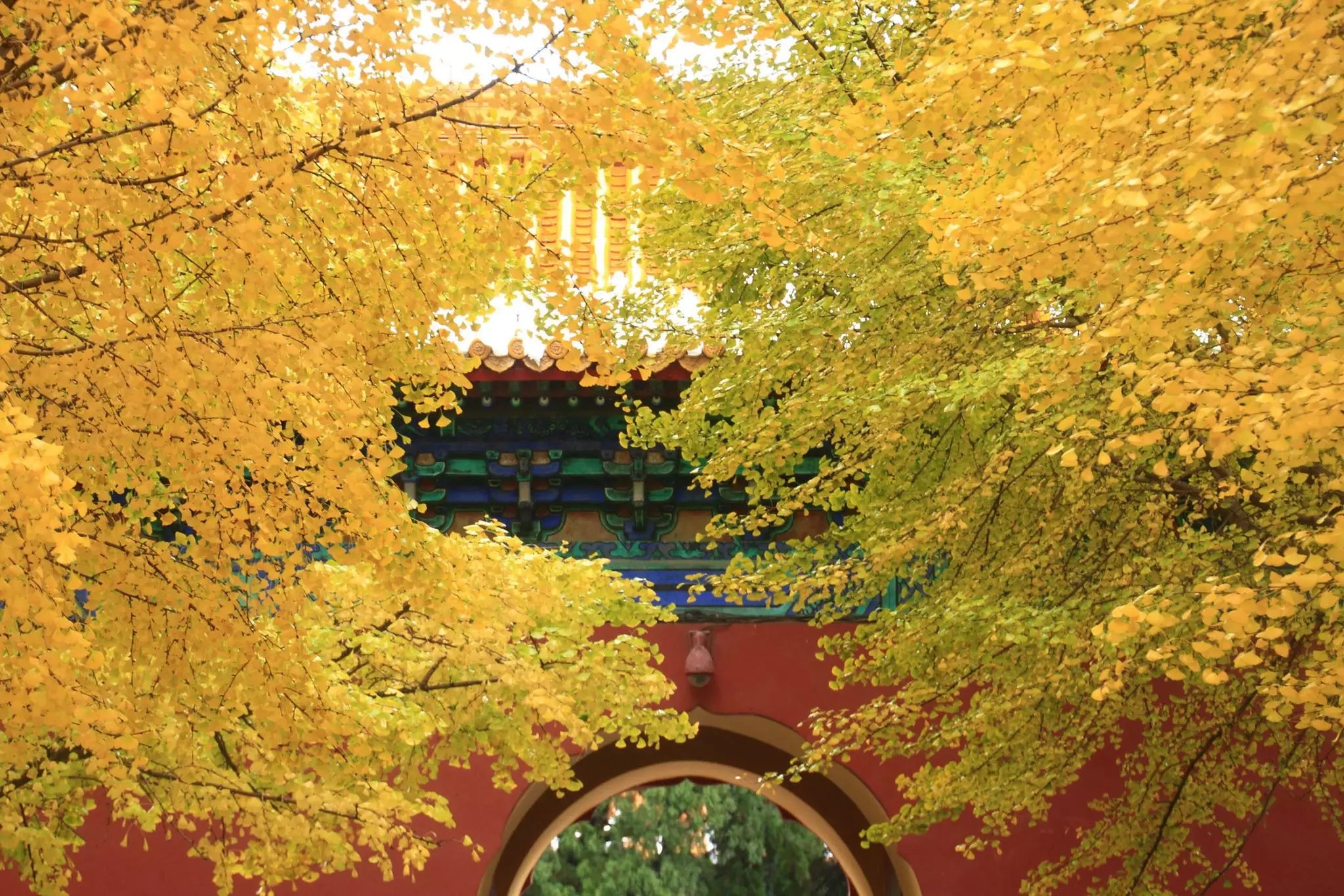 mua thu Trung Quoc anh 6