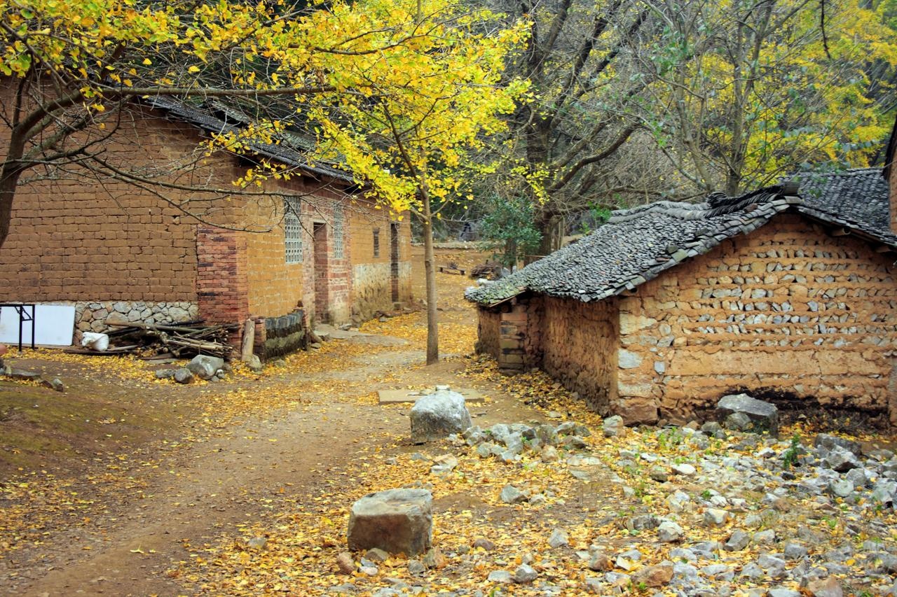 mua thu Trung Quoc anh 13