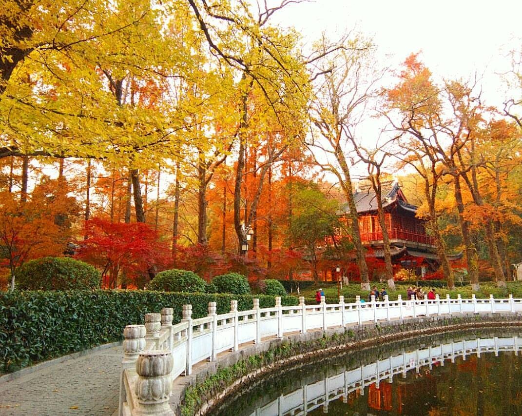 mua thu Trung Quoc anh 15