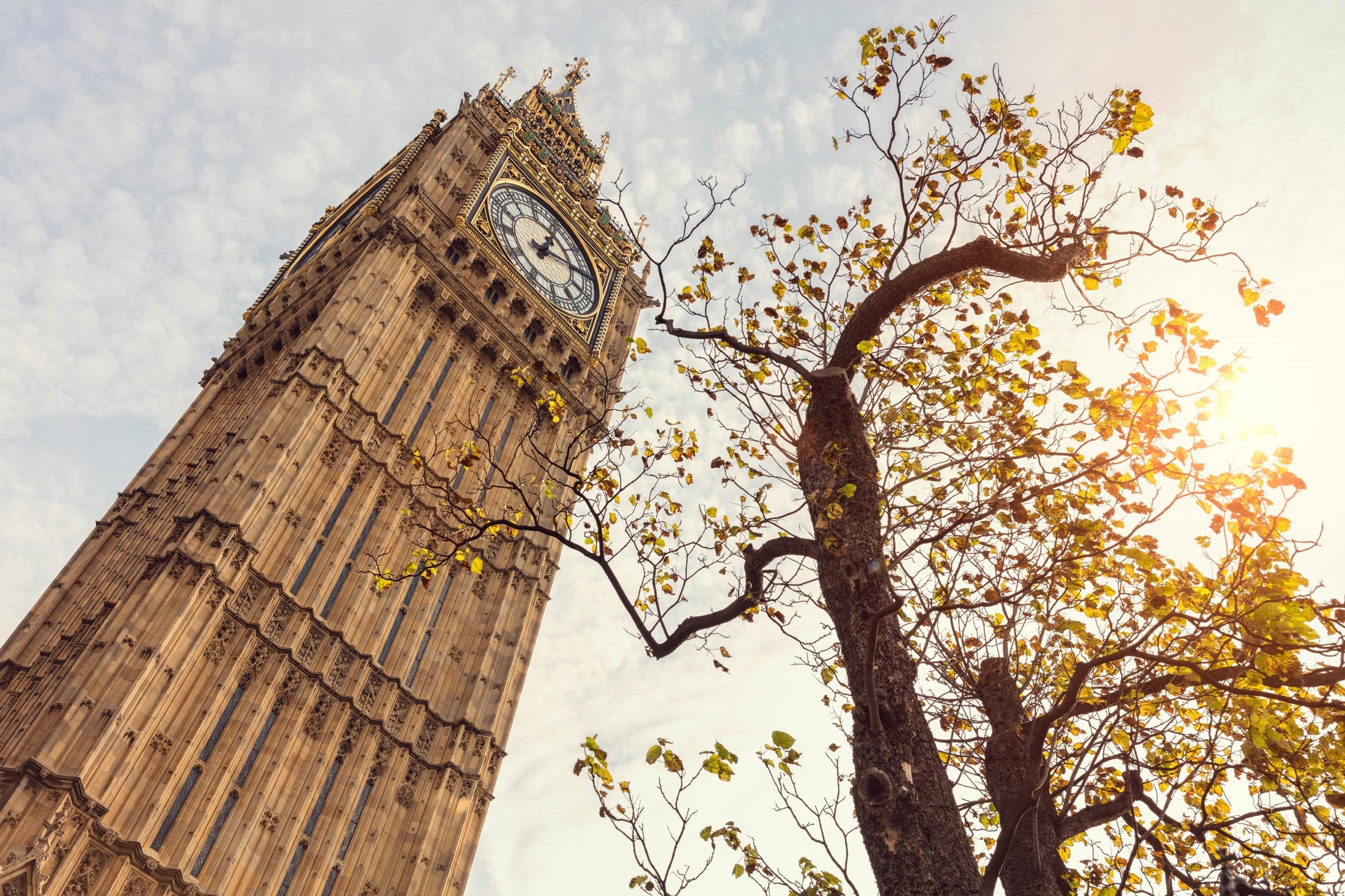 Chau Au hoa mien co tich anh 11