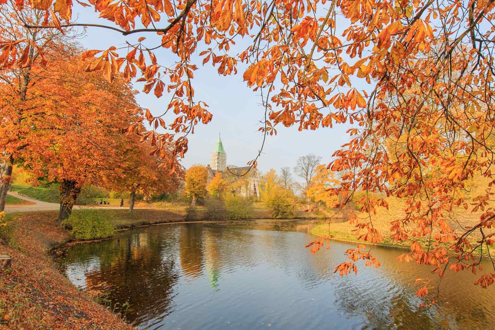 Chau Au hoa mien co tich anh 5