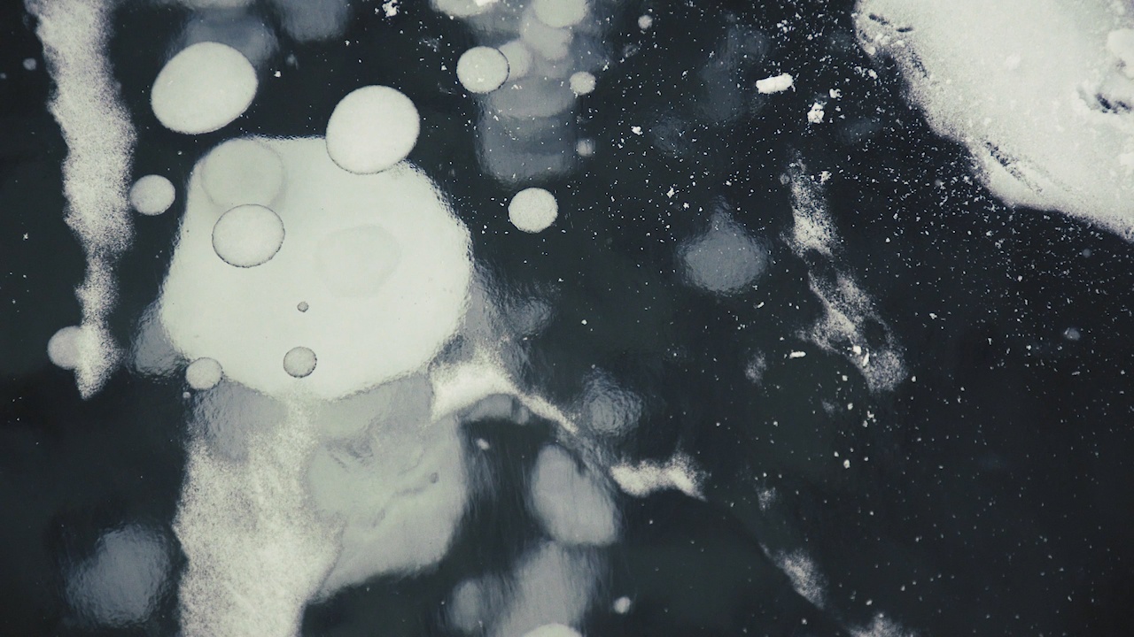 ho bong bong bang anh 5