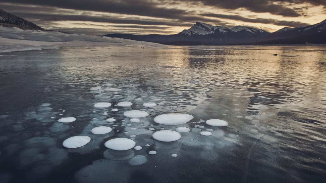 ho bong bong bang anh 4