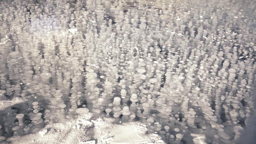 ho bong bong bang anh 6