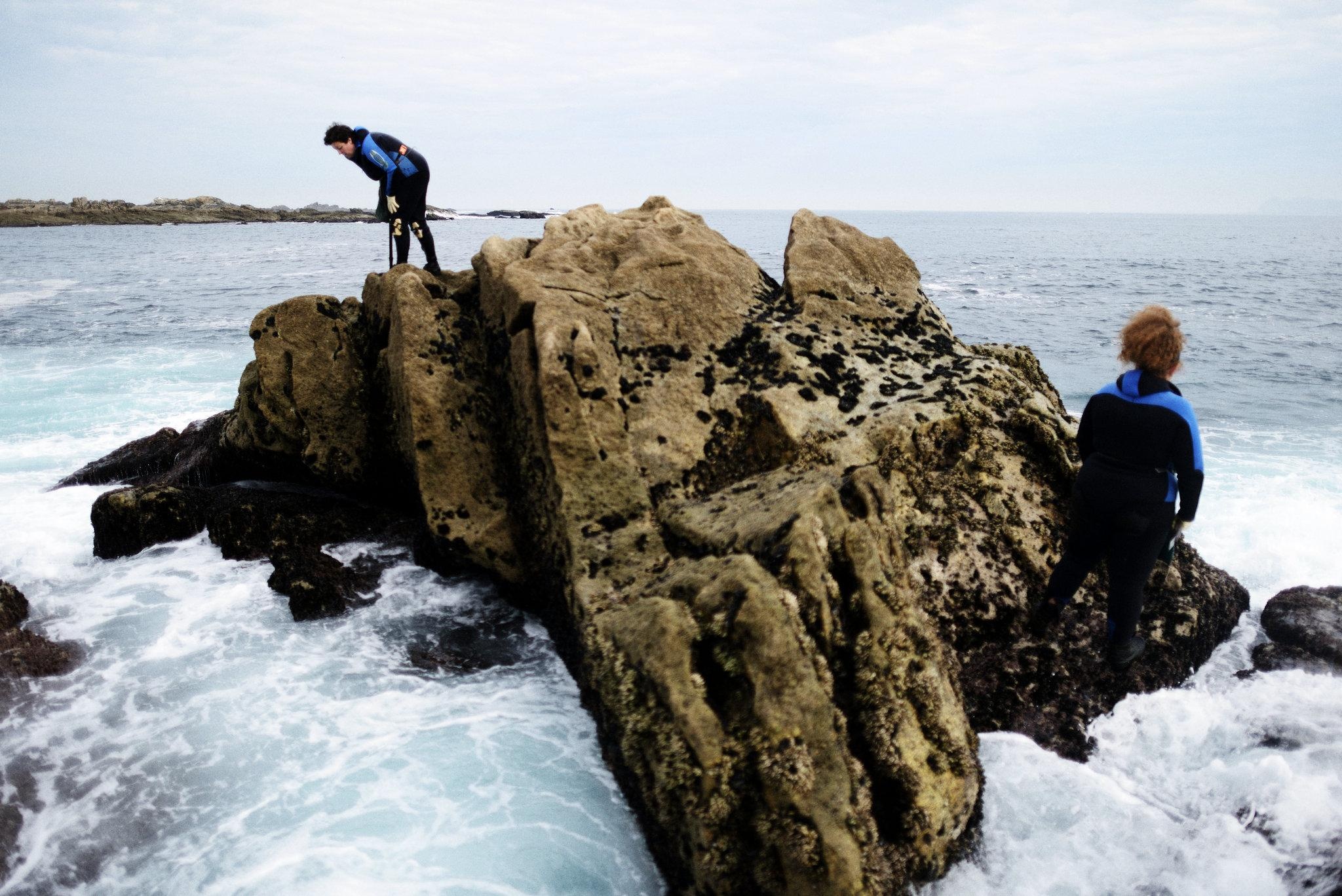 bi mat nghe san dang ho anh 5