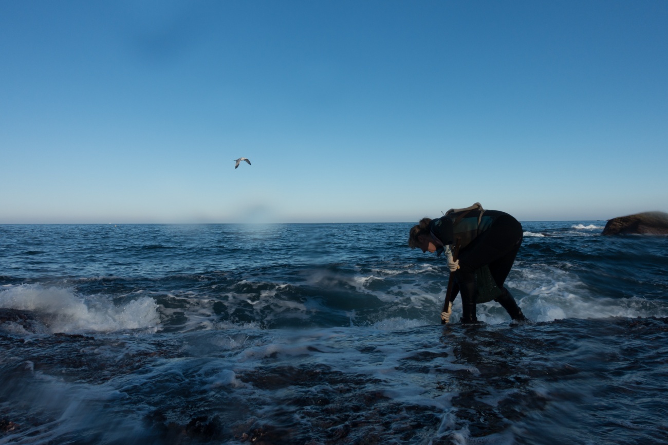 bi mat nghe san dang ho anh 10