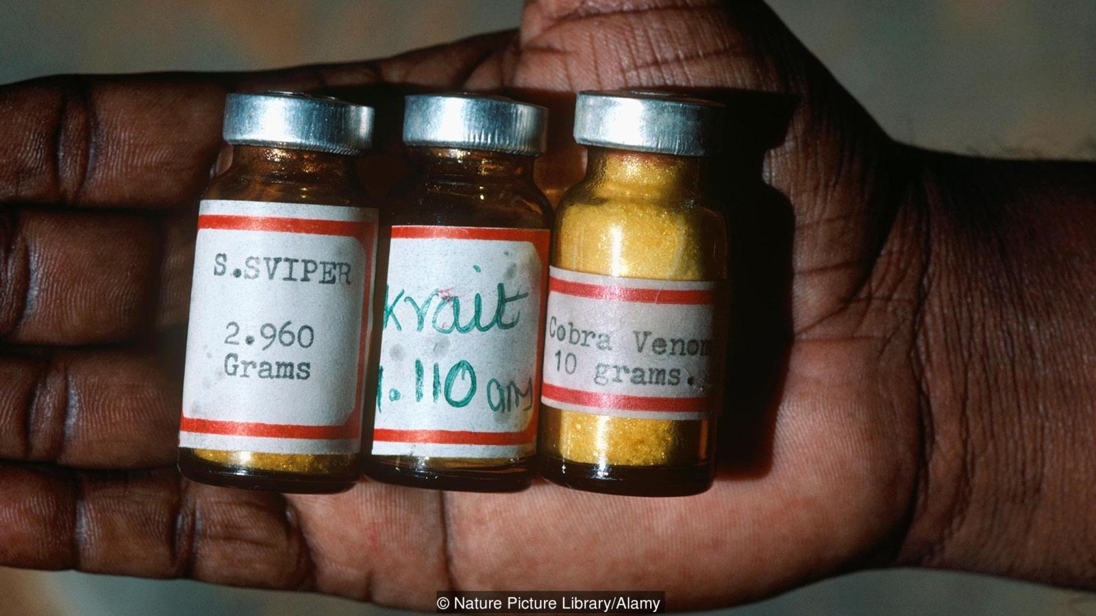 bo toc nguoi ran anh 7