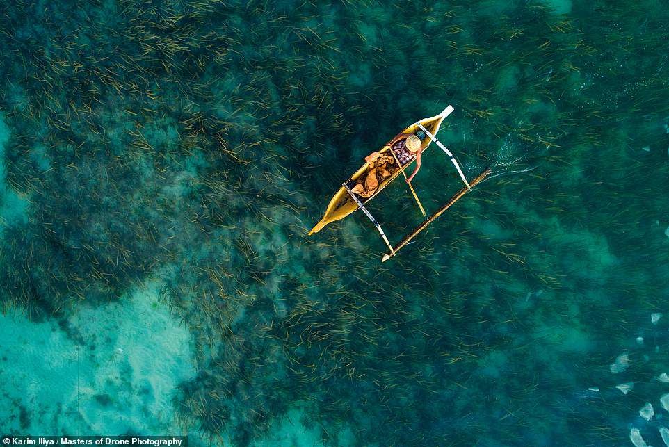 thế giới tươi đẹp ảnh 6 the gioi tuoi dep anh 6