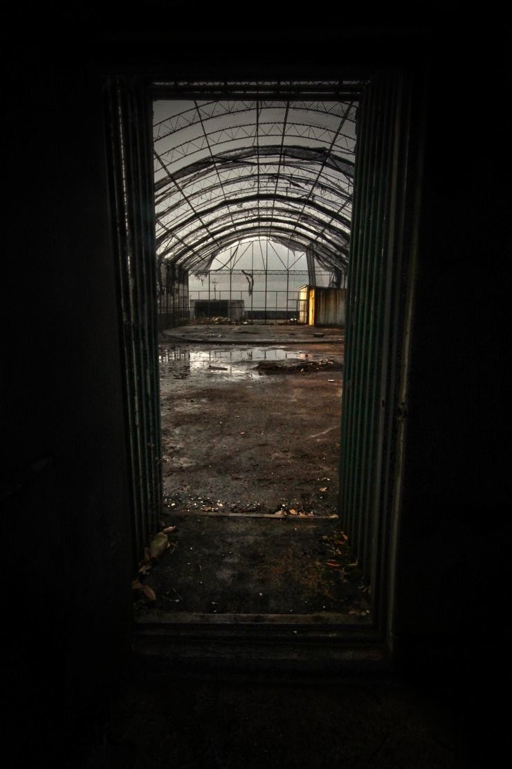 benh vien tam than bo hoang anh 4