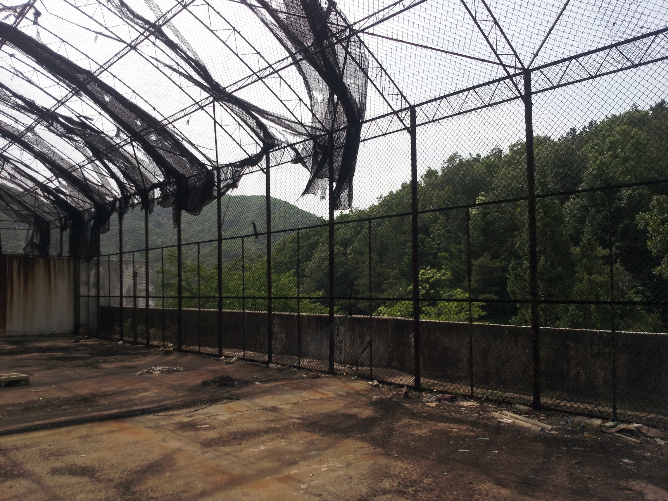 benh vien tam than bo hoang anh 14