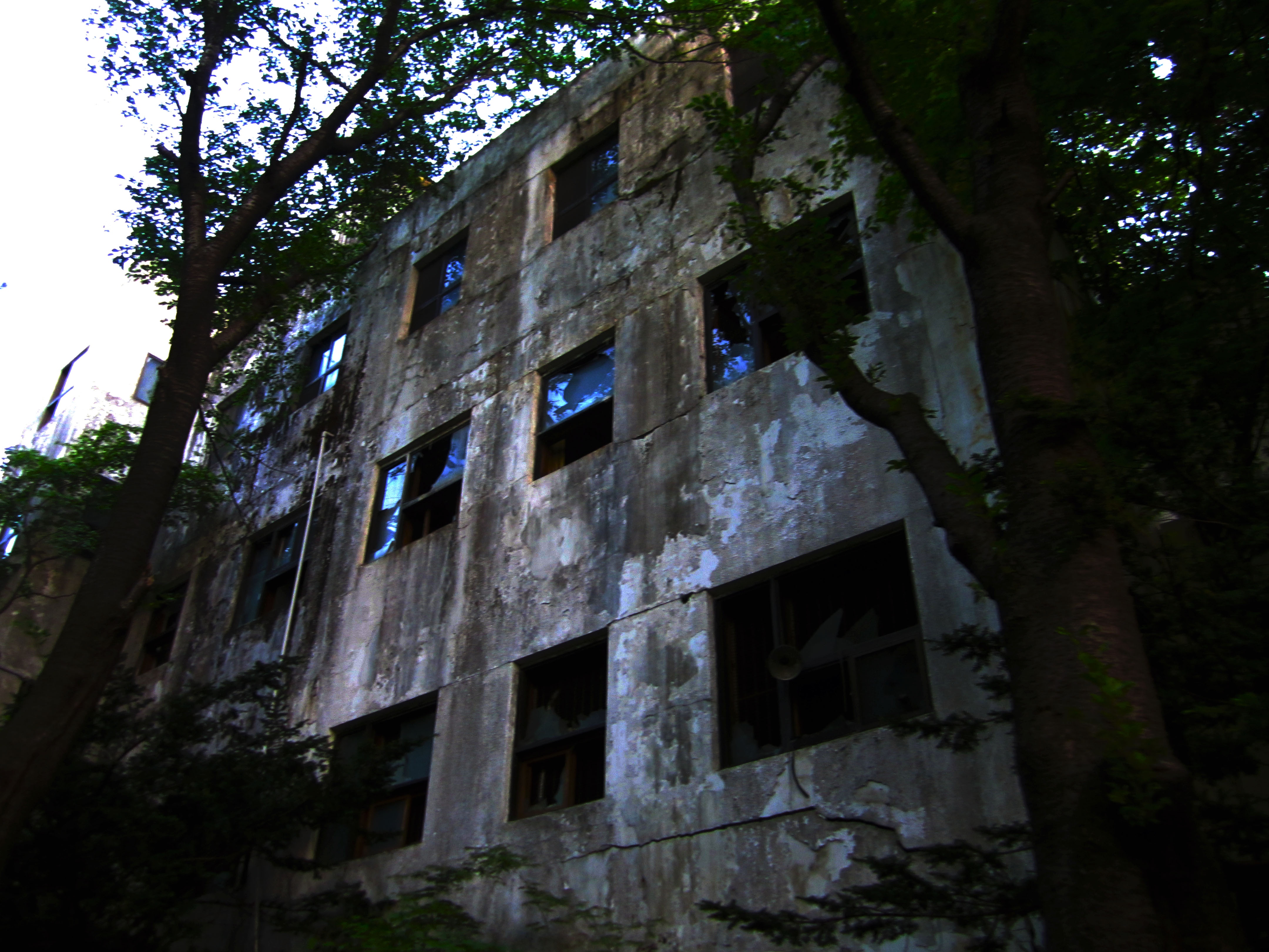 benh vien tam than bo hoang anh 8