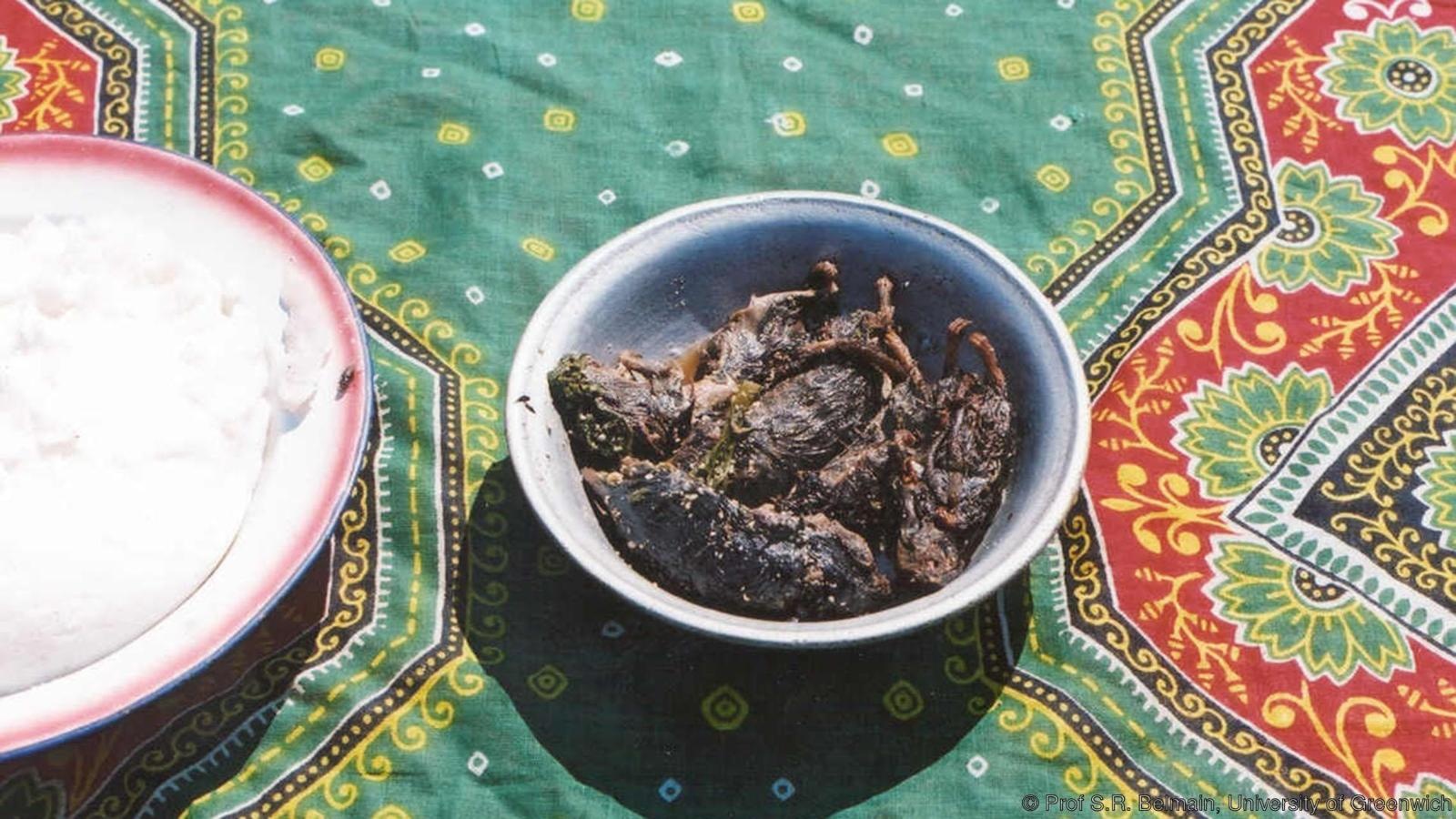 thịt chuột ảnh 2 thit chuot anh 2