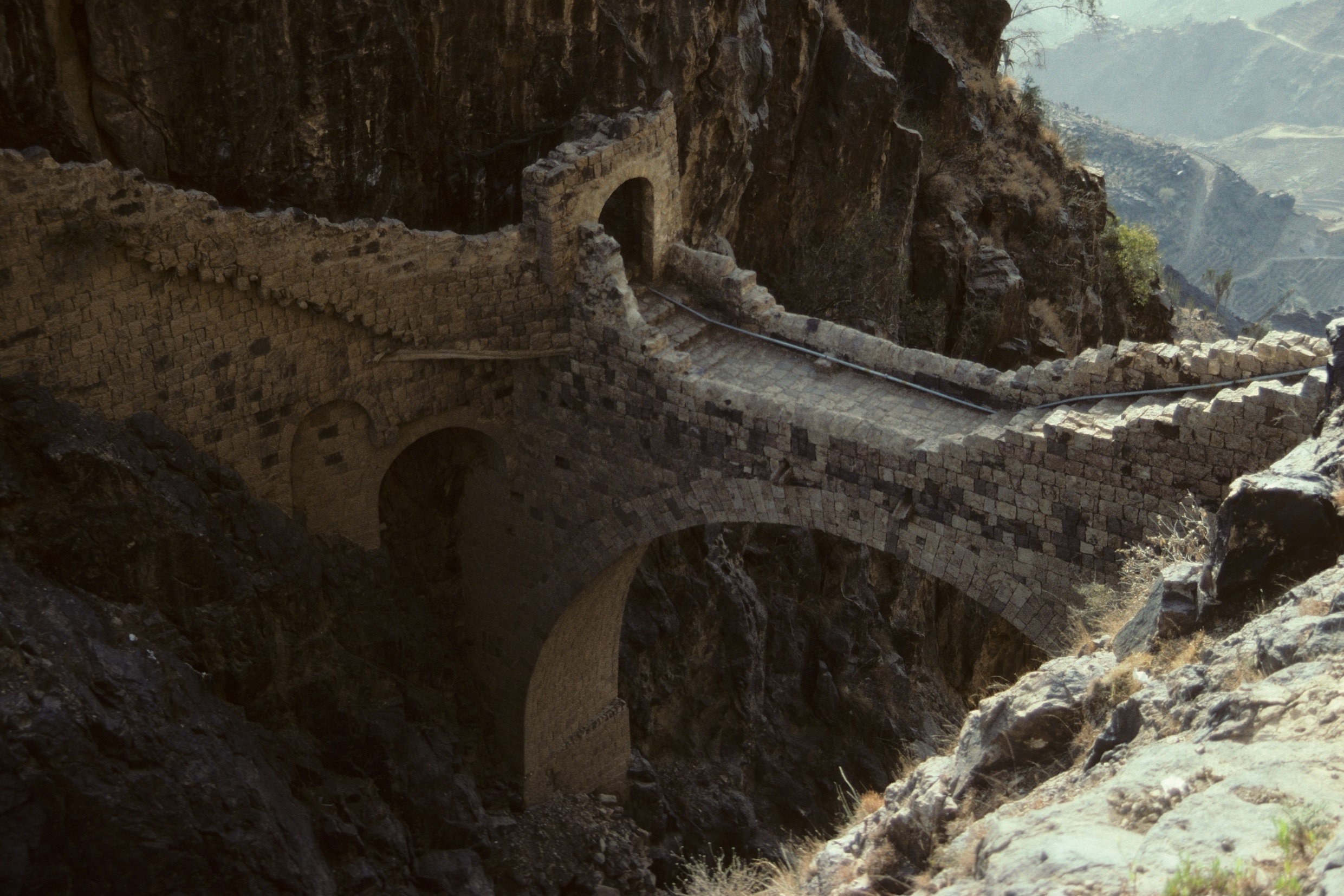 nhung cay cau ky la anh 4