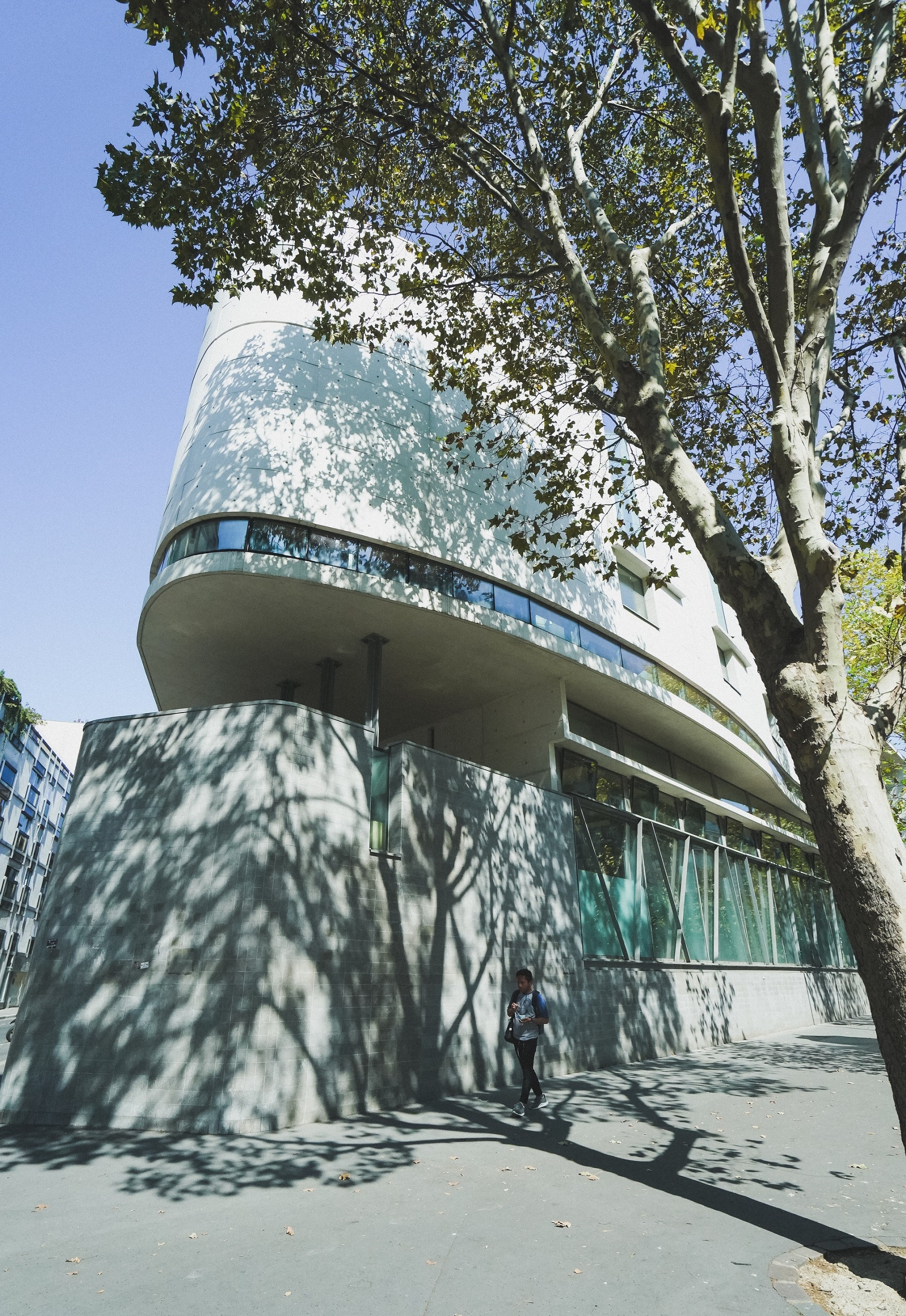 thanh pho Paris hoa le anh 18